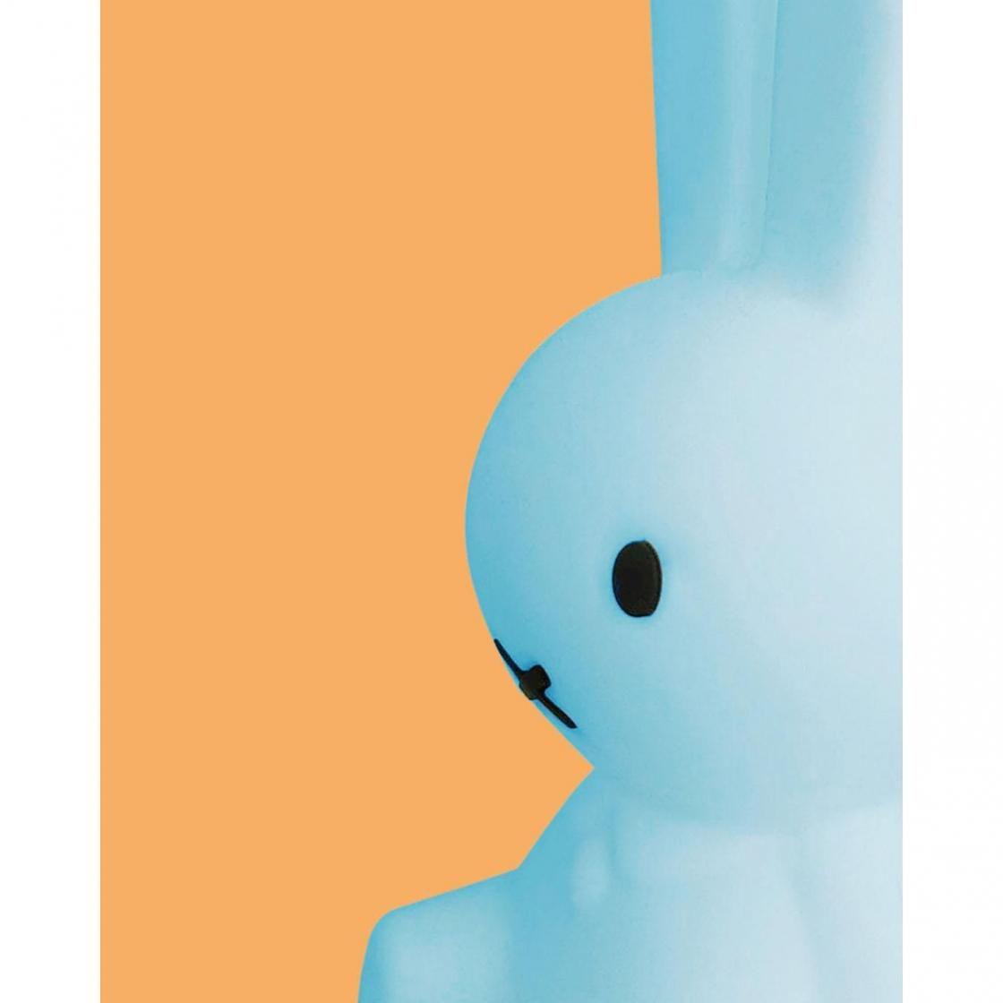 盲盒 不設選款 Bundle of Light Miffy Colourful Surprise