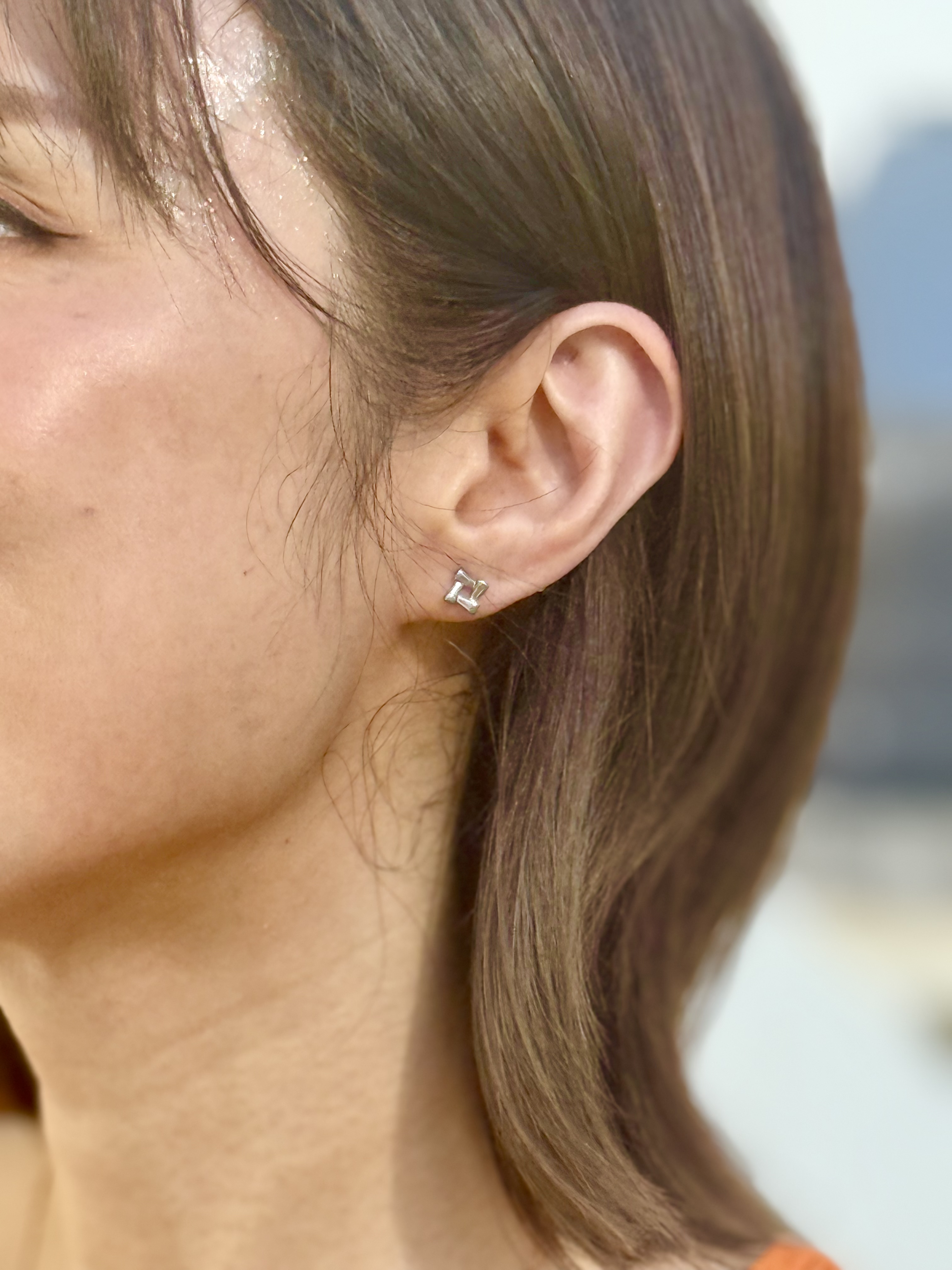 Sliver puzzle stainless earring
