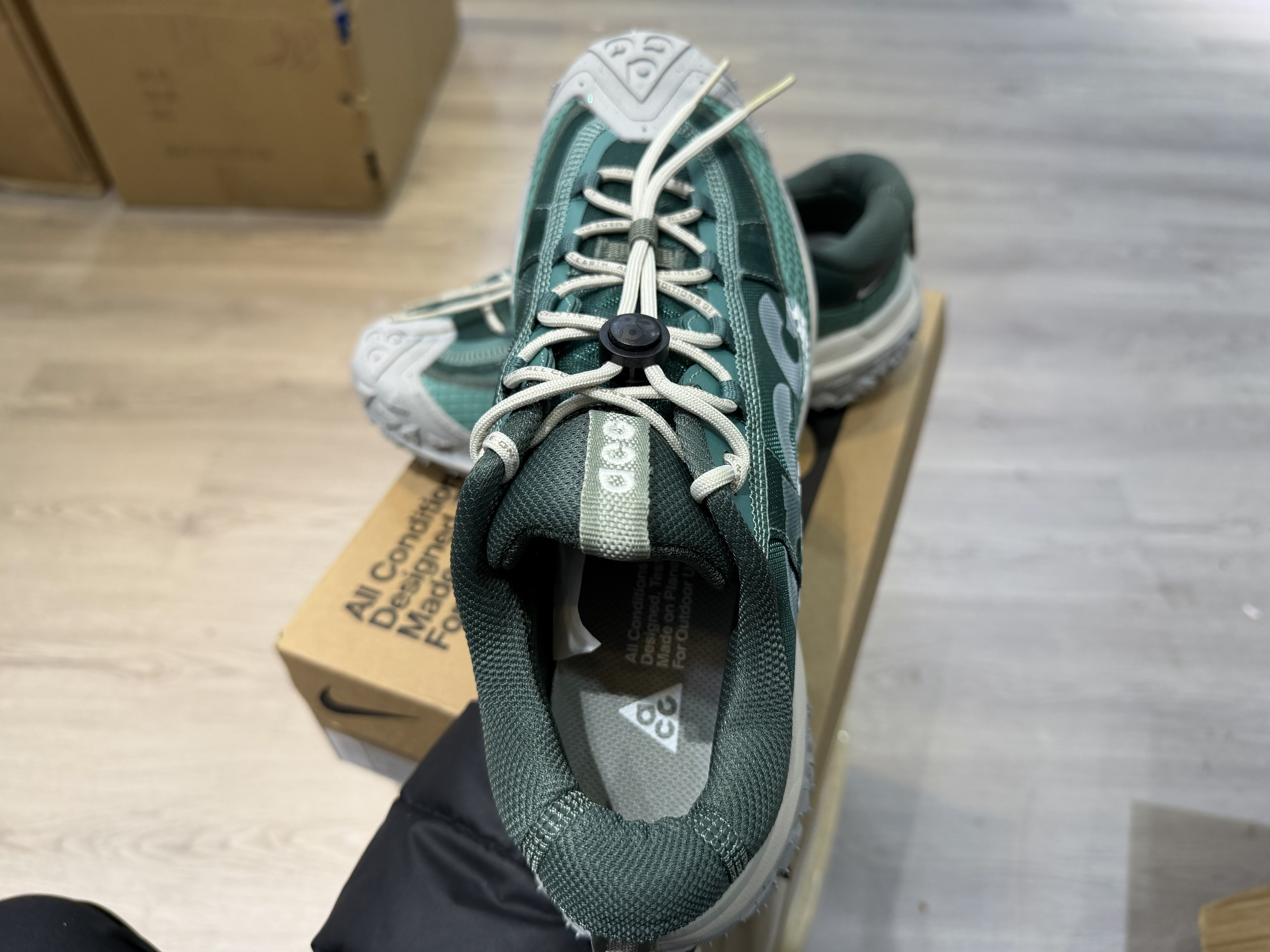 Nike ACG Mountain Fly 2 Low