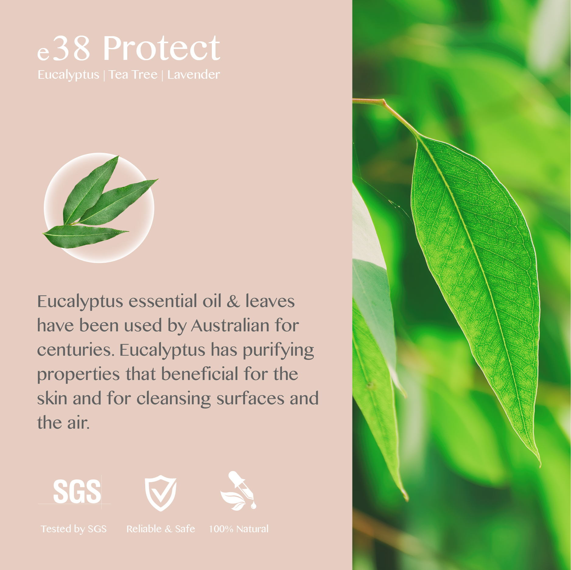 eBlend Protect — Clarity Shield