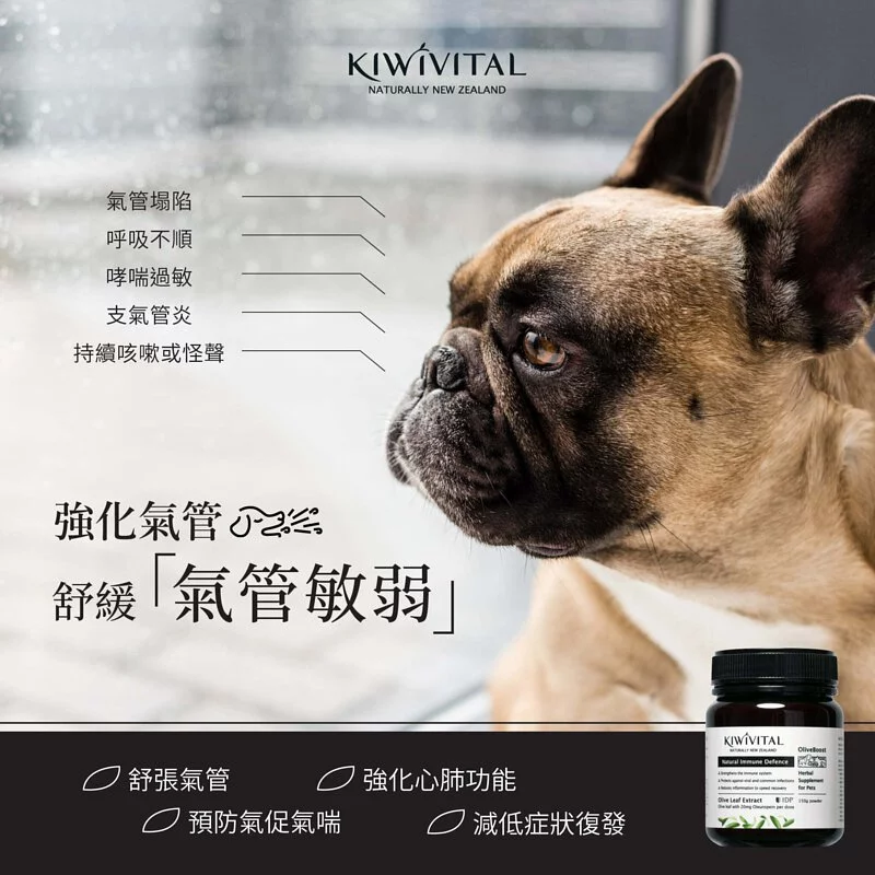 Kiwivital OliveBoost 80g 寵物專用橄欖葉草療配方