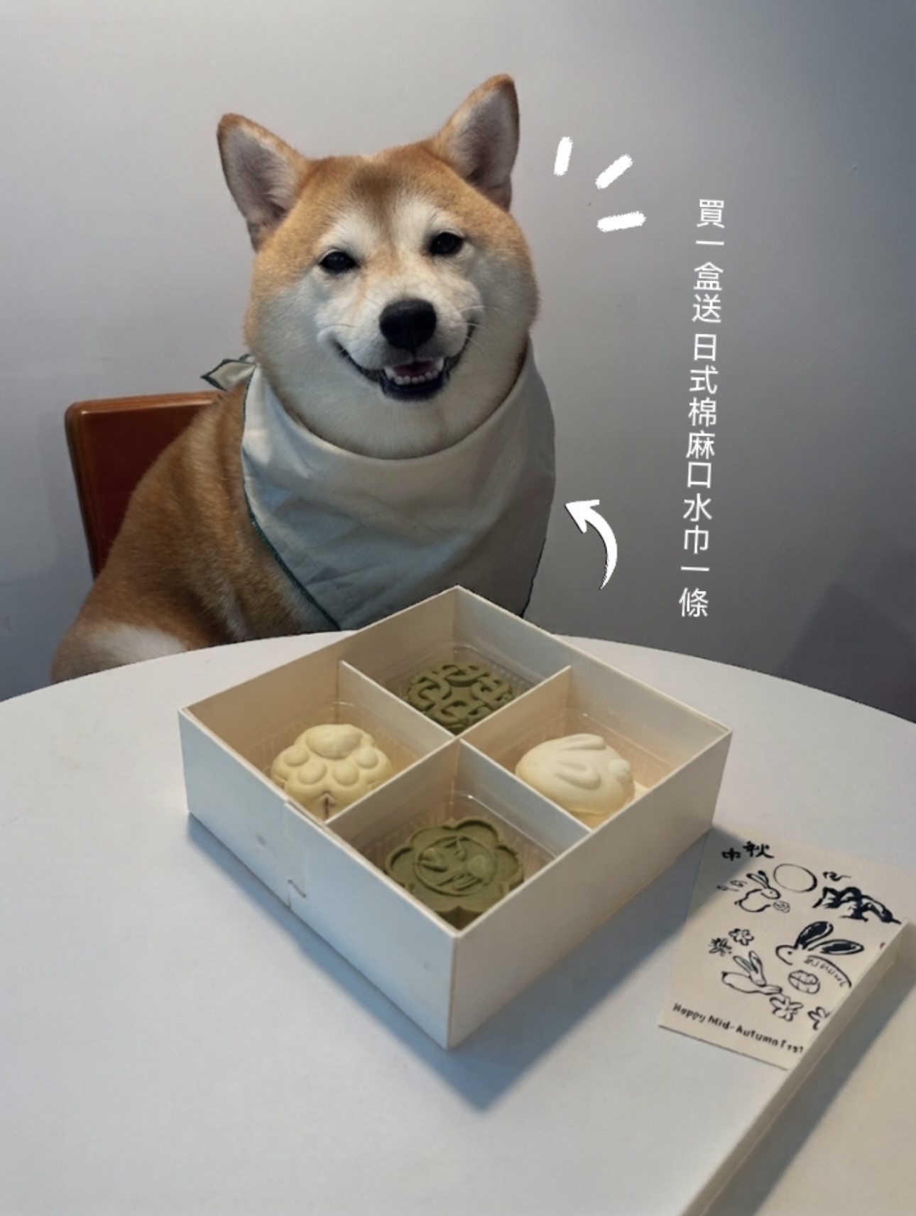 「Bobowl 寵物養生花膠月餅禮盒」🥮🌕 + 贈送日式棉麻口水布一條