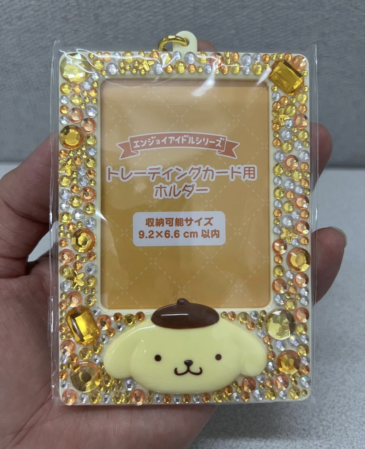 🎌日本直送🎌 Sanrio 閃石立體造型IC卡 相片收納盒掛飾