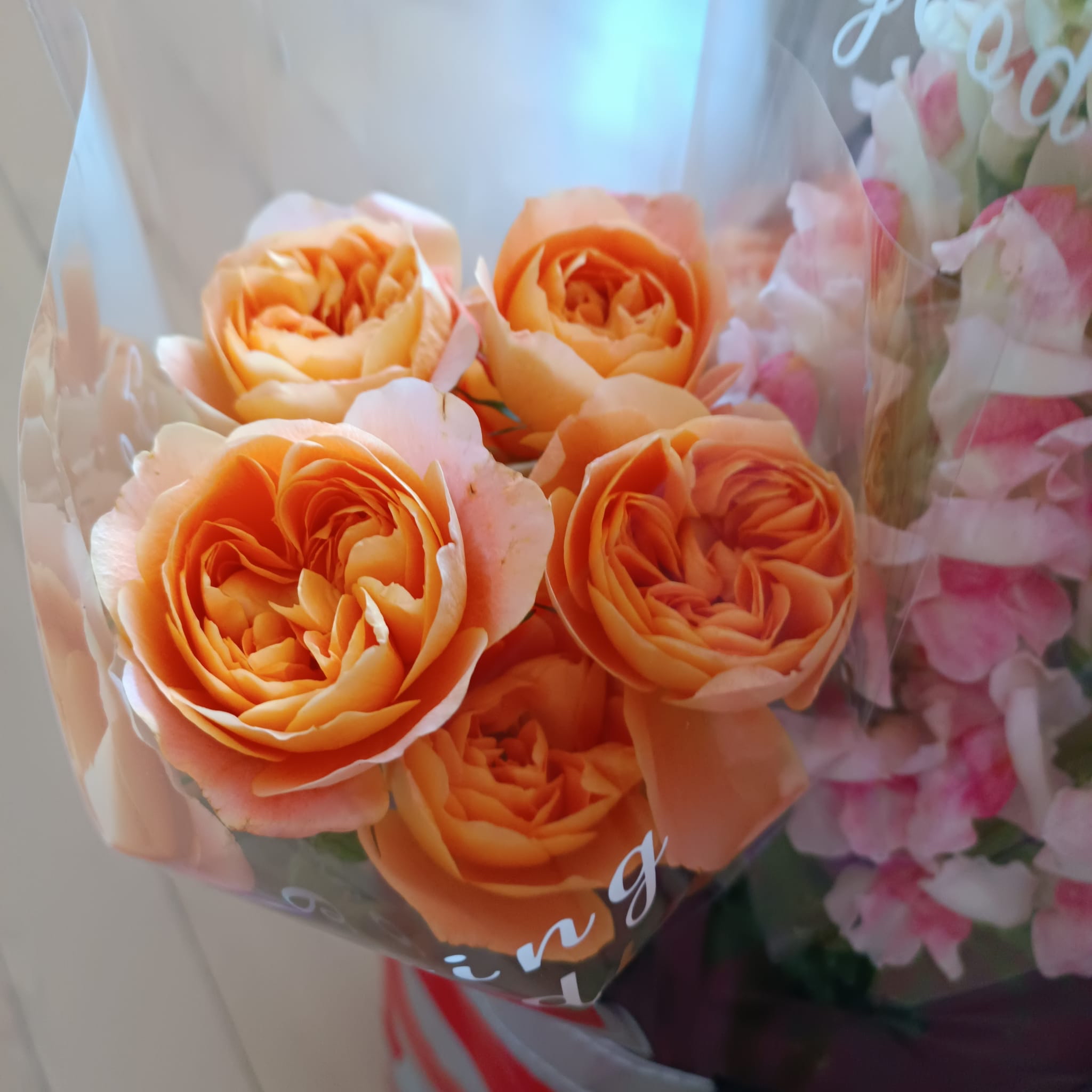 真花 小花束HYU024