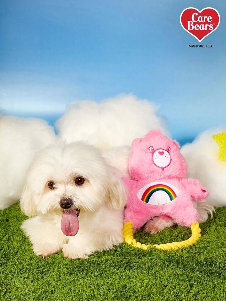 Care Bears 彩虹熊毛絨玩具拉環