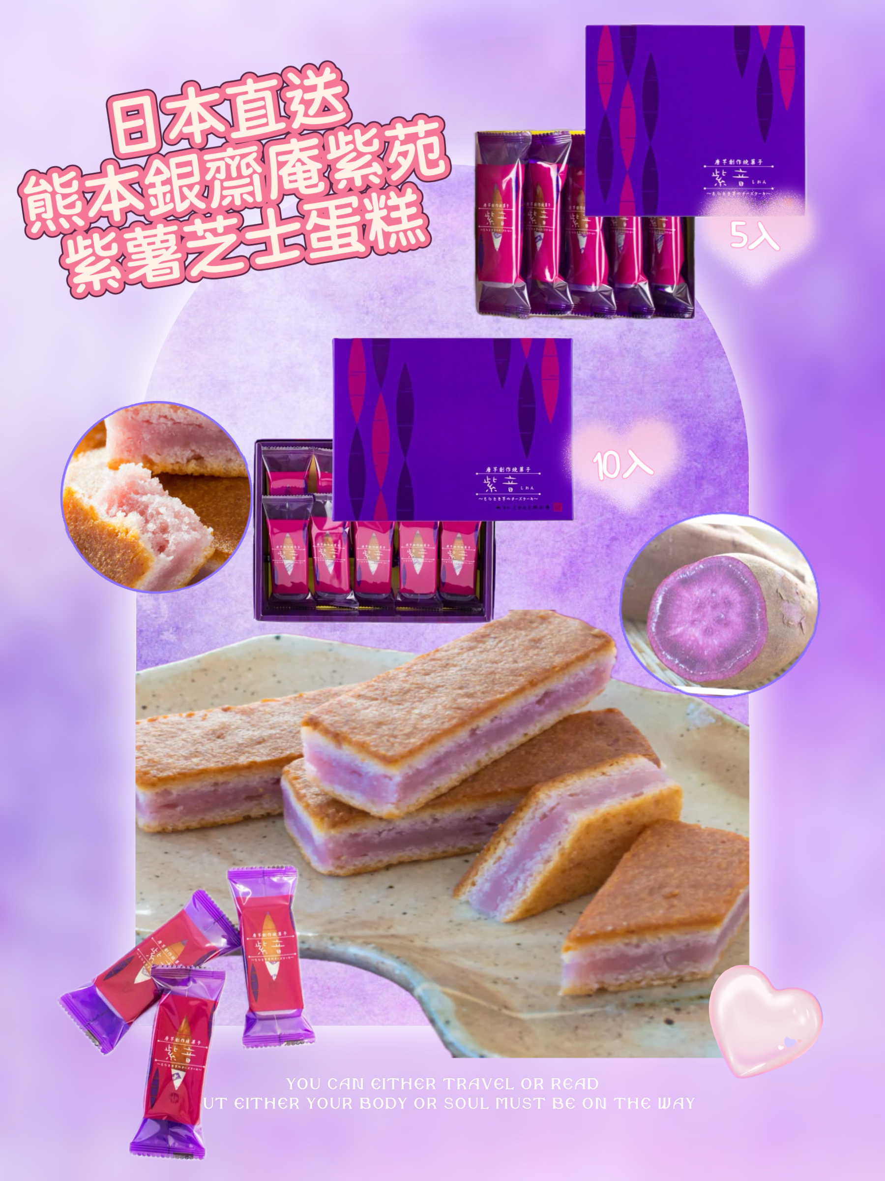 日本直送 熊本銀齋庵紫苑5入/10入