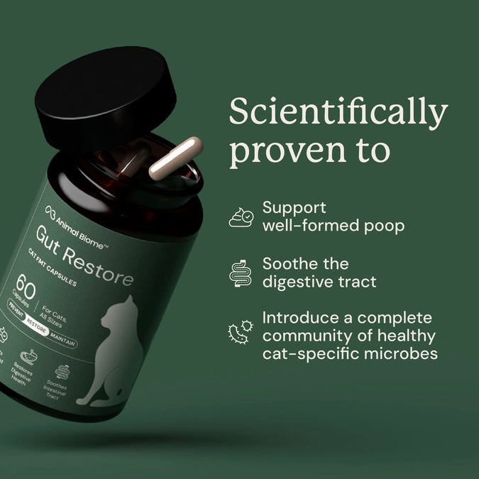 AnimalBiome : Gut Restore for Cats [最新存貨情況請參閱下列商品介紹]