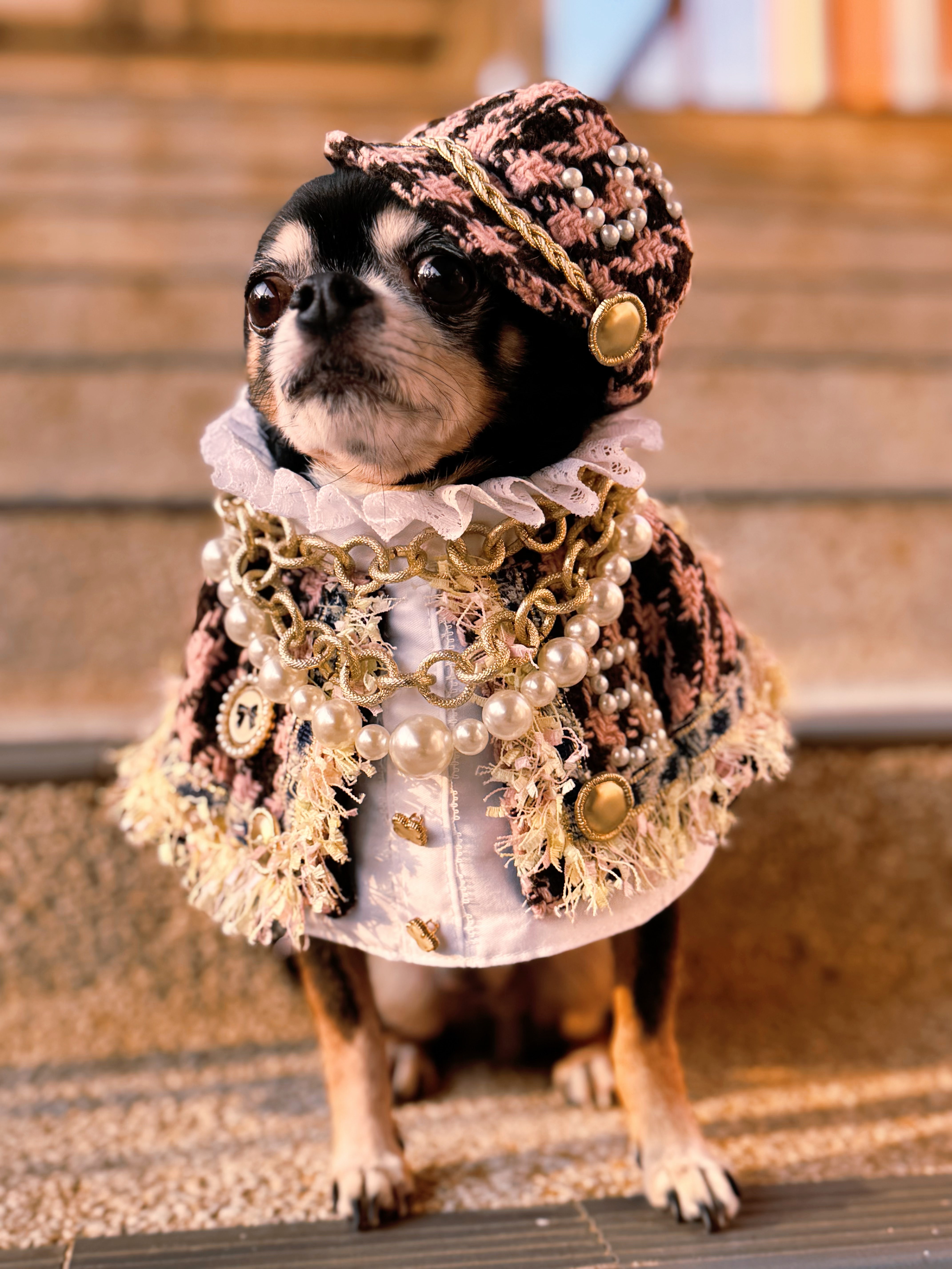 寵物原創設計 低調奢華小香風 寵物頸飾