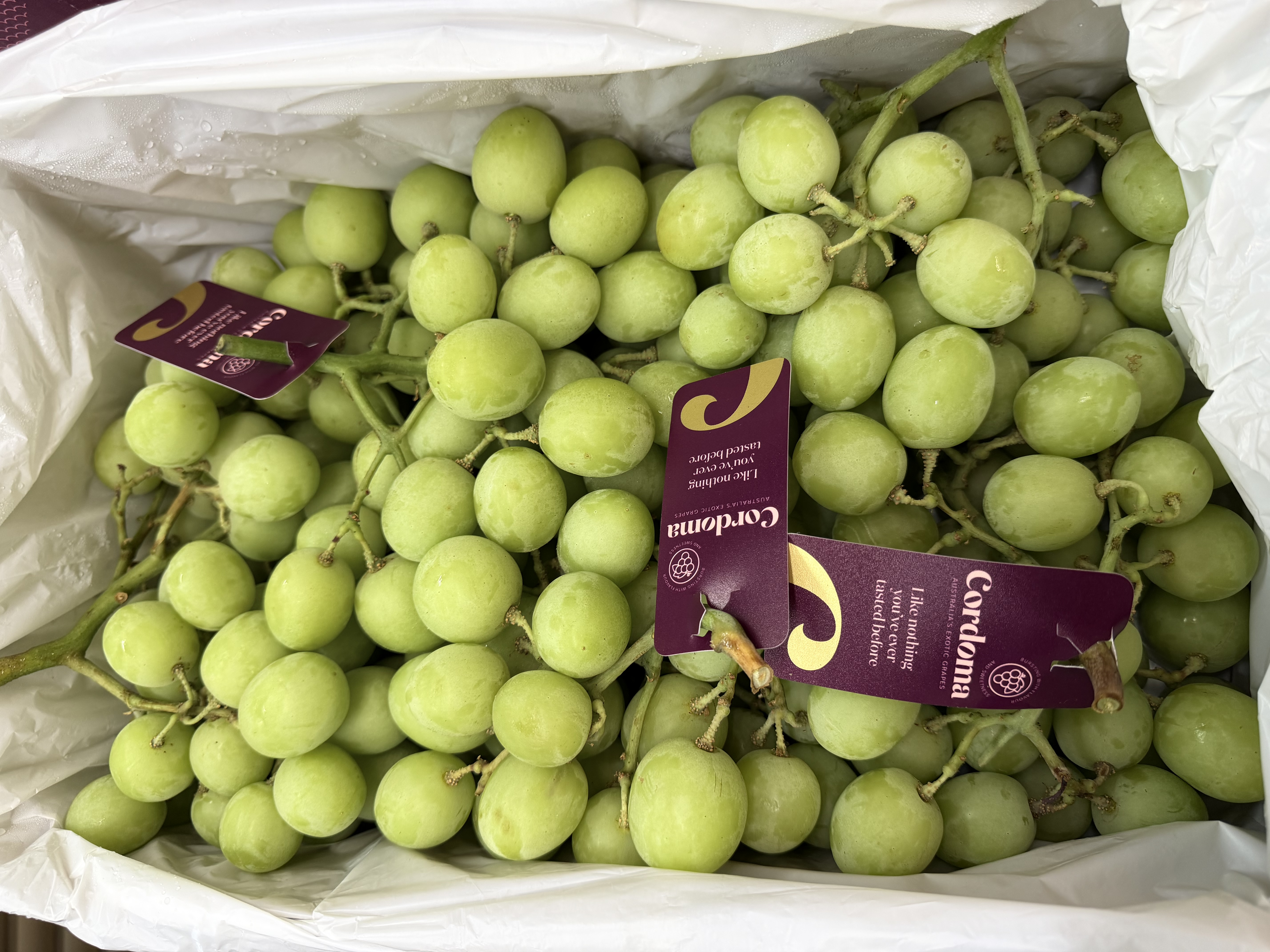 澳州 Cordoma大大粒波子青提 Australia Cordoma Seedless Grape Green 2磅Lbs