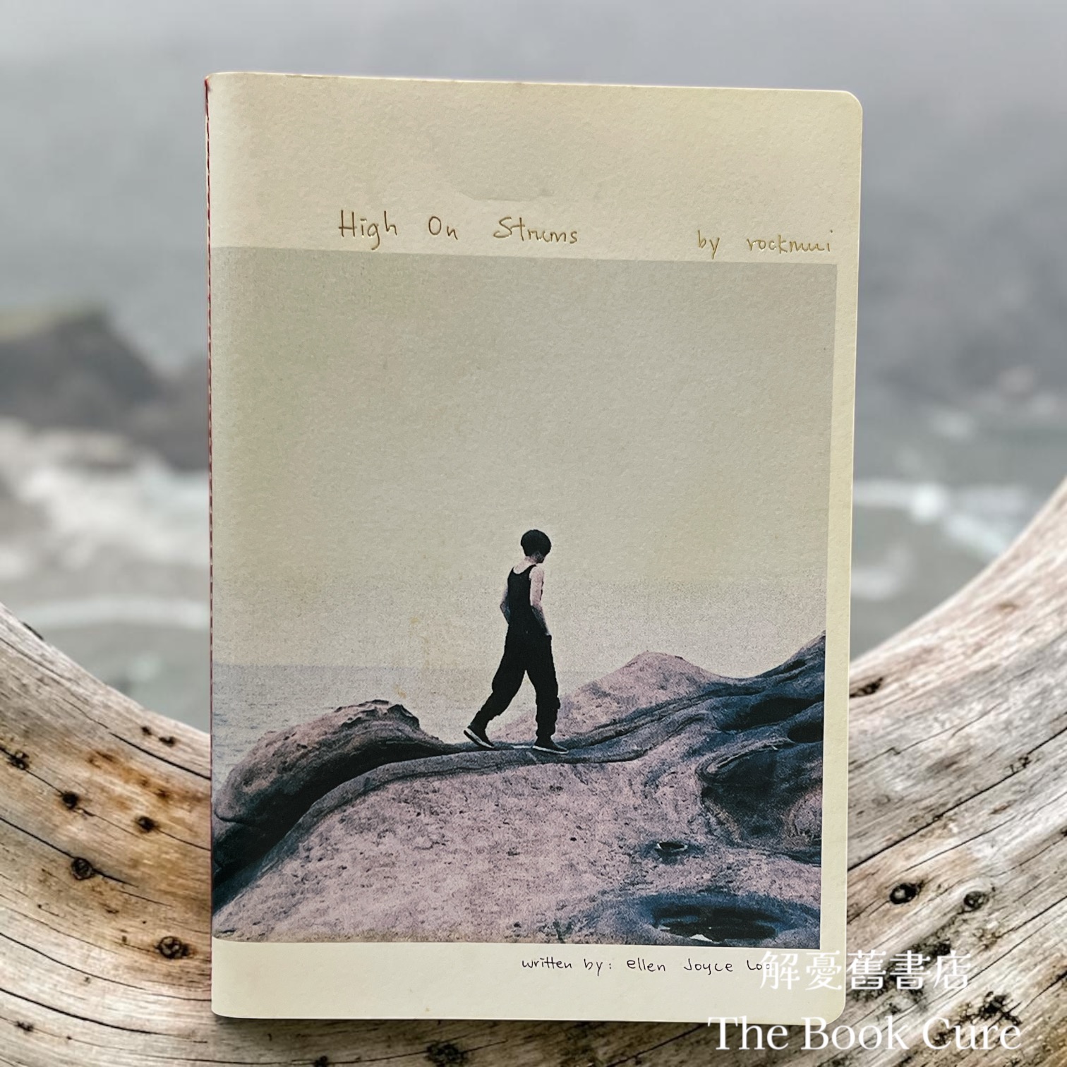 High on Strums 吉他書 / 盧凱彤 Ellen Loo 著