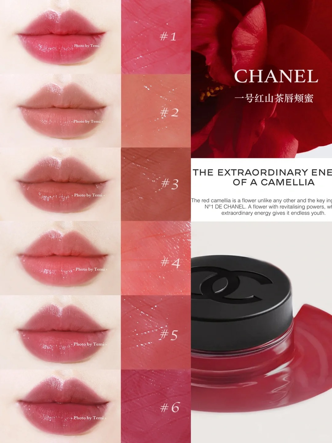 Chanel 香奈兒 唇頰蜜 一號紅山茶花胭脂唇霜 Camellia Lip & Cheek balm 08/09/02/03/05