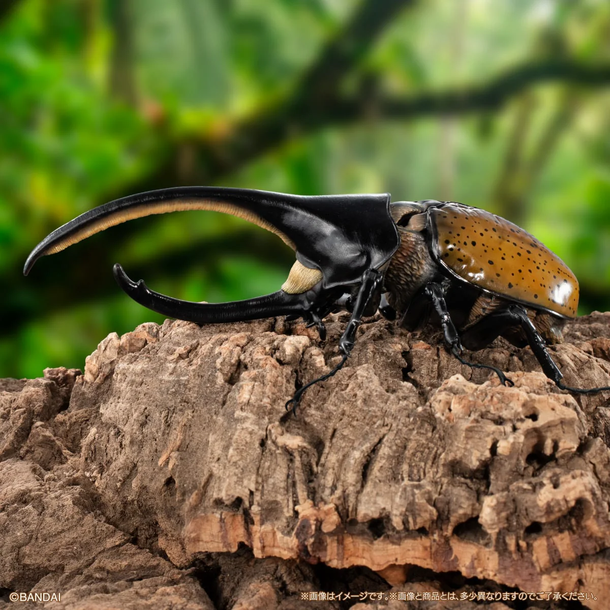 【預訂日期至06/4/26】 [魂SHOP限定 GOL] 生物大圖鑑 由蟲 04 展示支架 & 中型樹皮底座 套裝 / [GOL]THE DIVERSITY OF LIFE ON EARTH ADVANCE BEETLE 04 DISPLAY STAND & BARK PEDESTAL (MEDIUM) SET 🌸[訂單確認後,本店會於一週內發出電子預購單據,屆時請確認WhatsApp對話查收。"如需到店提取紙質單據或使用其他通訊APP可於備註告知"]