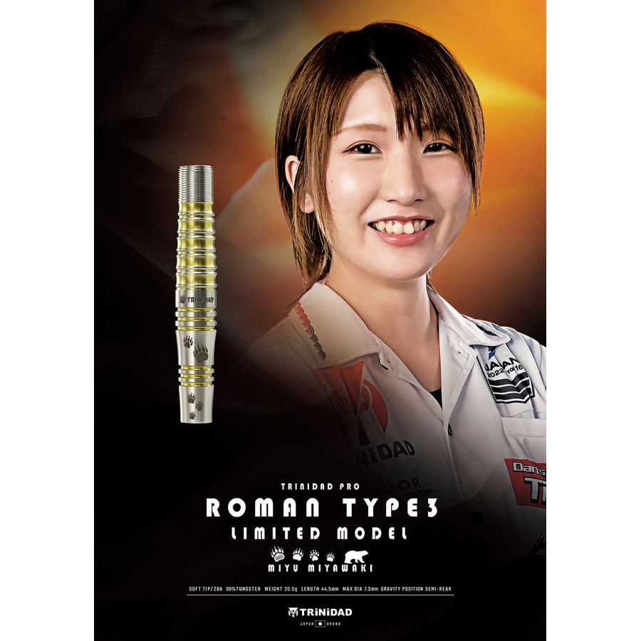 独創的 Roman3 宮脇実由 2BA Model Limited ダーツ - ocsurgical.com