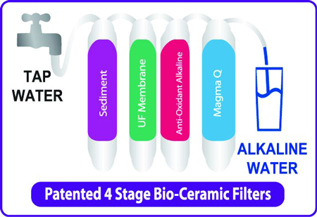 JOY 306N Alkaline Antioxidant Filtration System