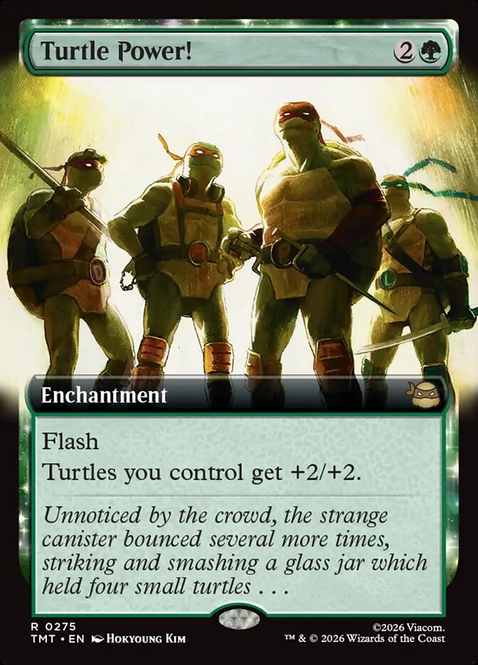 Turtle Power! [TMT-275] [EN]