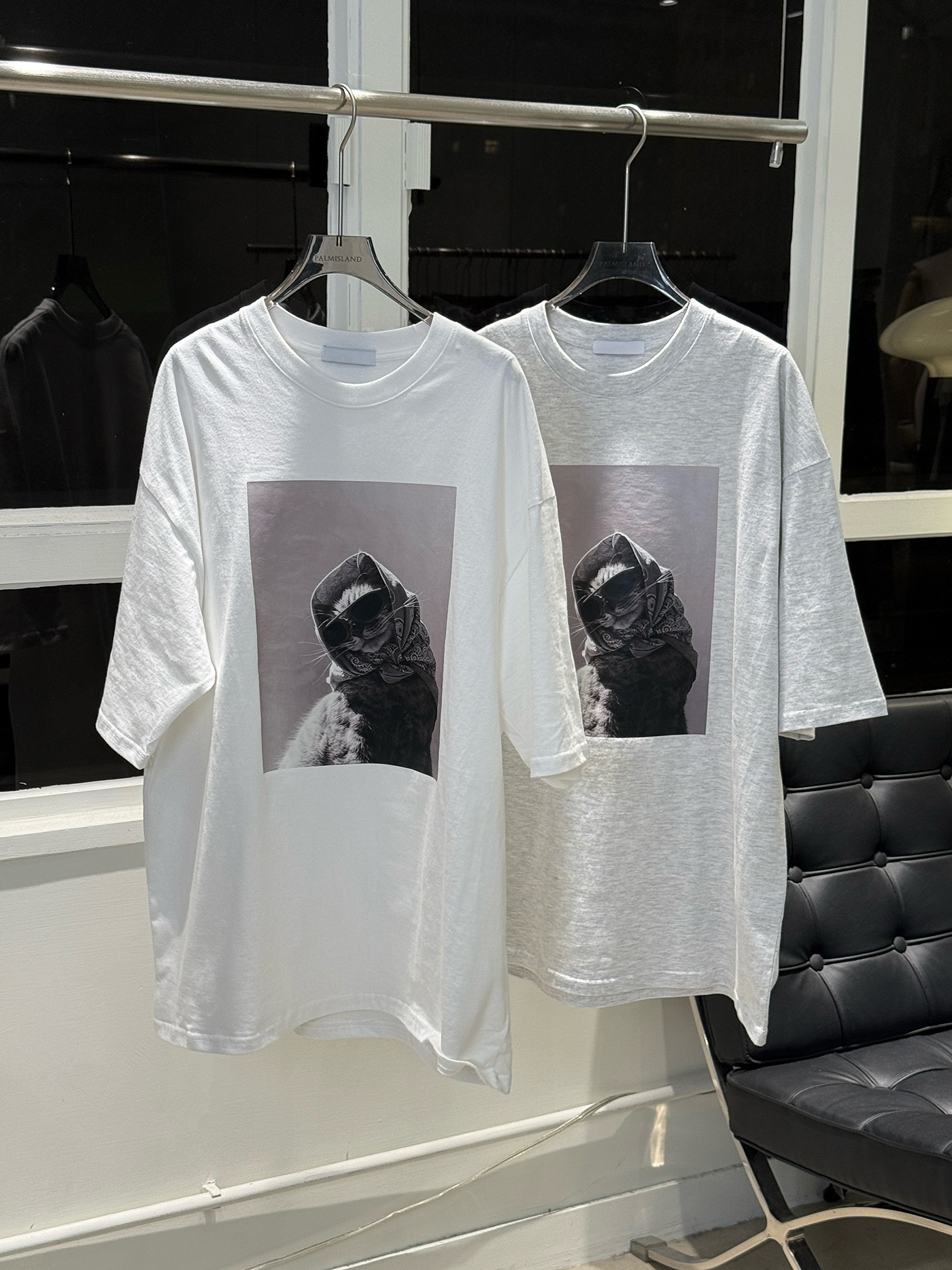 𝐔𝐧𝐢𝐬𝐞𝐱 𝐜𝐮𝐭𝐞 𝐜𝐚𝐭 𝐨𝐯𝐞𝐫𝐬𝐢𝐳𝐞𝐝 𝐭𝐨𝐩