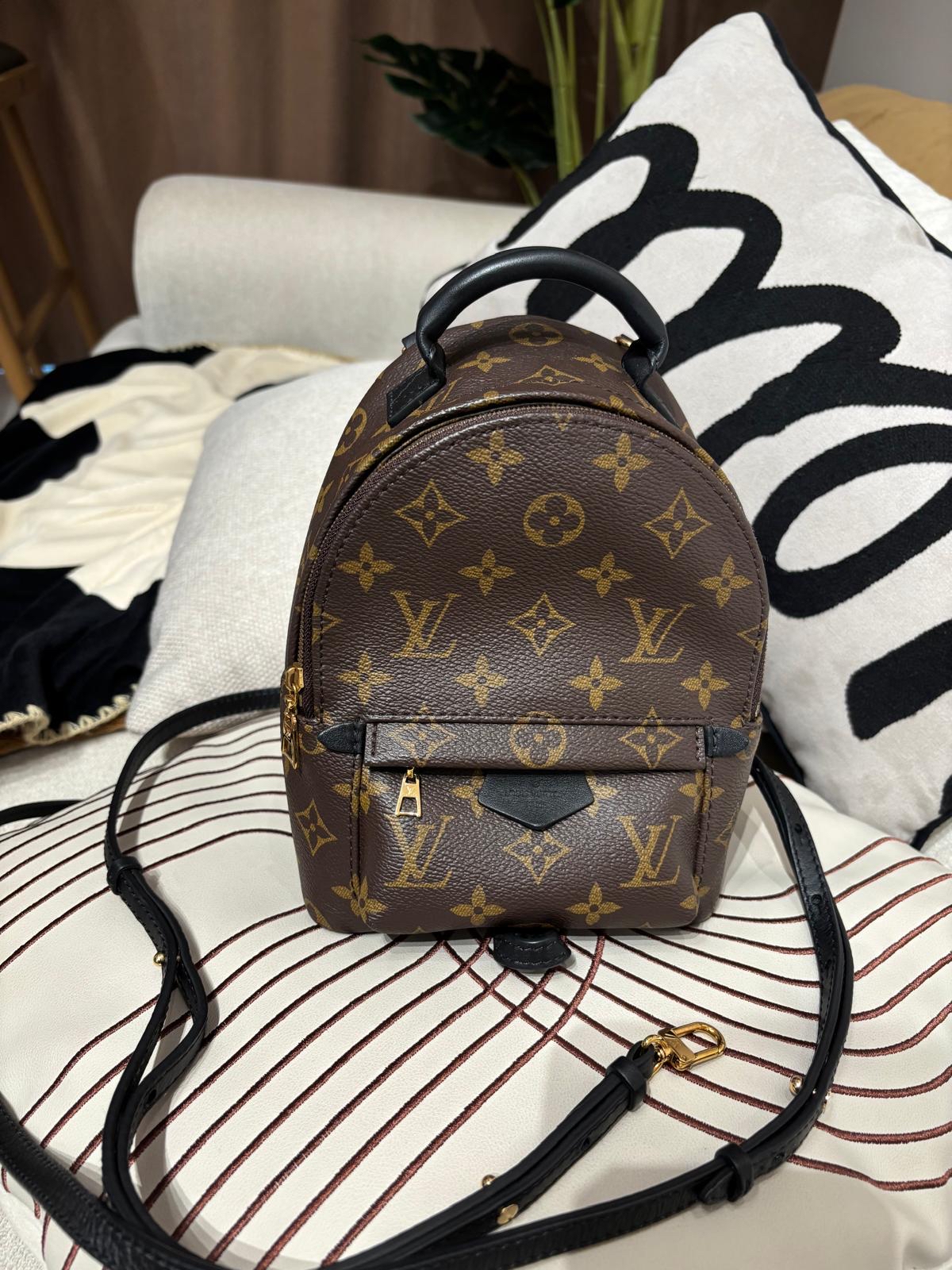 Lv mini Palm Springs backpack M44873 100%Authentic ,98%new ✅dust bag✅Strap