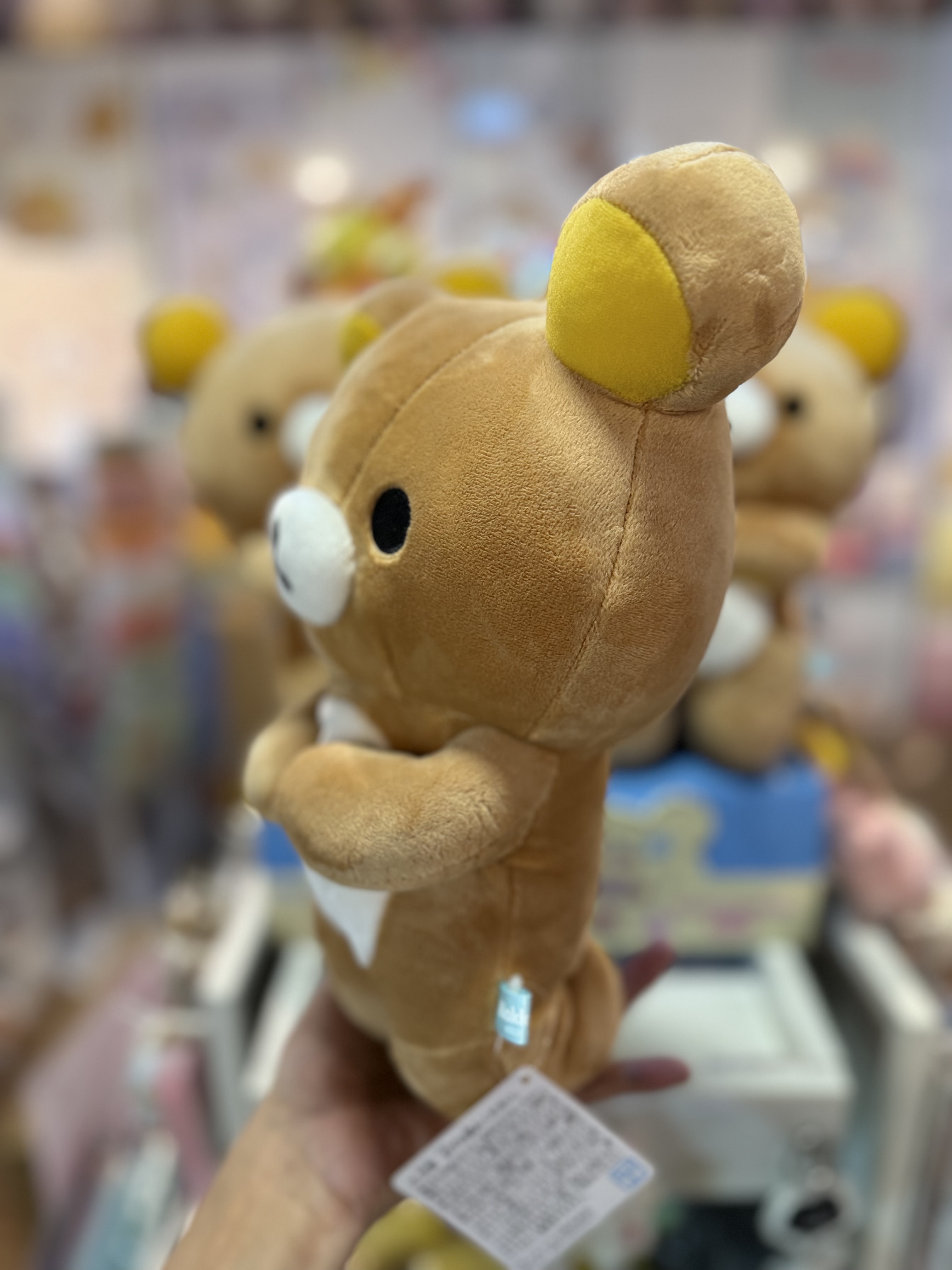 《現貨》全新Rilakkuma瓦瓦貓系列跪地公仔