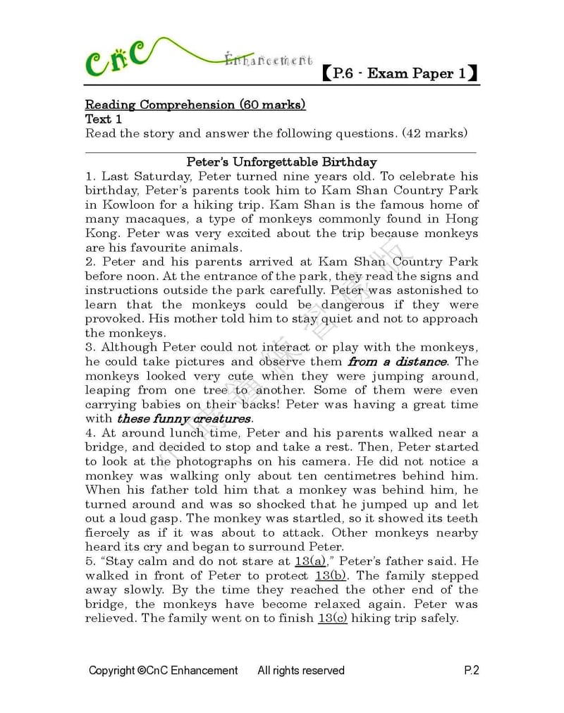 模擬試卷 (六年級)