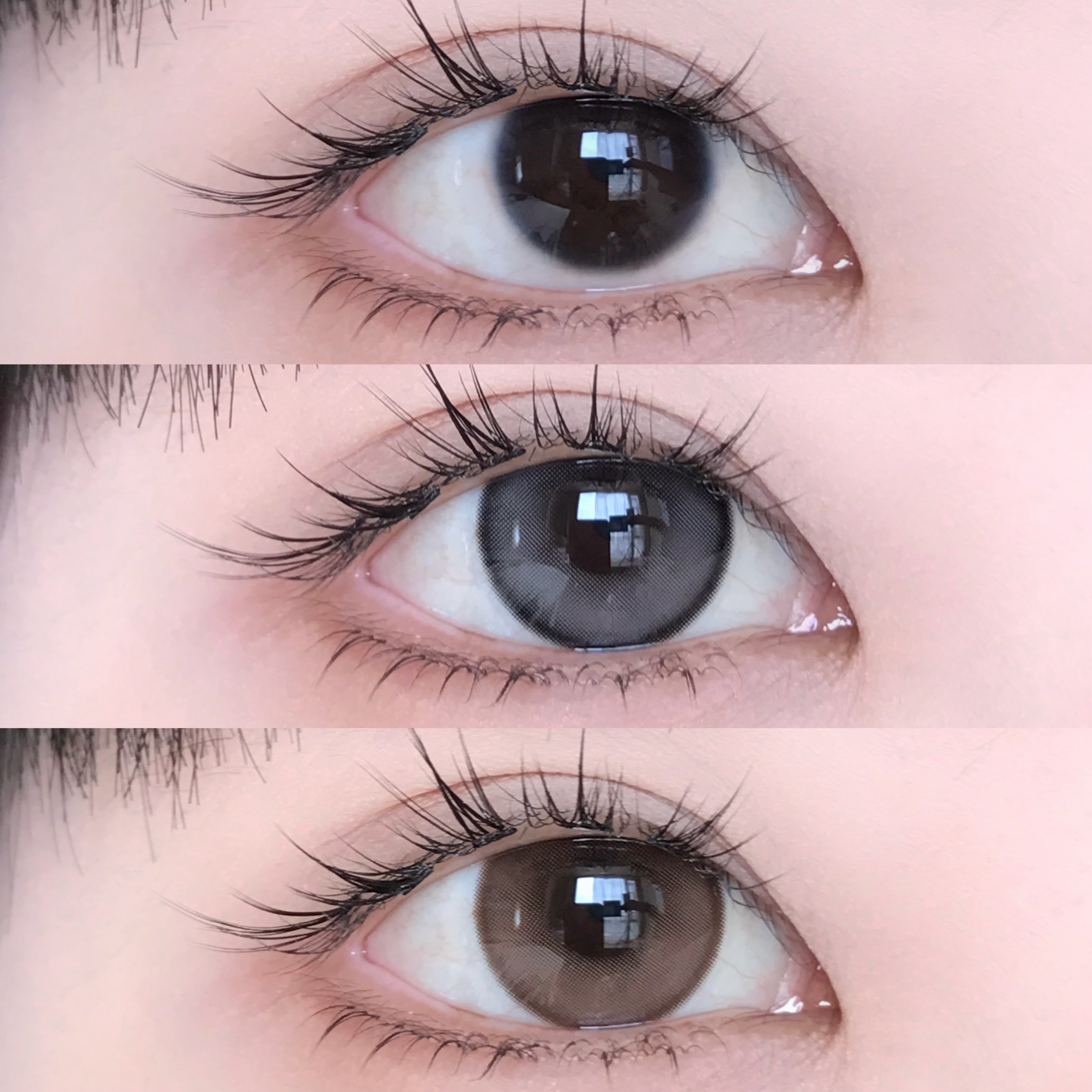 Kaylens 半年拋 肉鬆團子/糯米團子