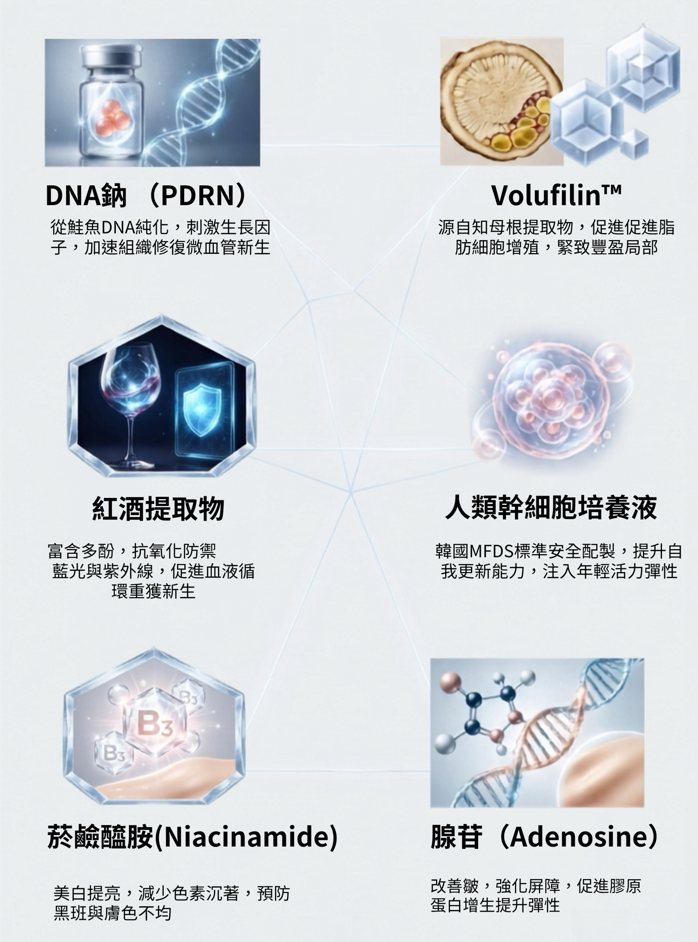 LaChomB PDRN 再生修復套盒六大核心成分解析：包含促進組織修復的 DNA 鈉(PDRN)、緊緻豐盈的 Volufiline™、抗氧化防禦藍光的紅酒提取物、具備韓國 MFDS 安全配製的類人幹細胞培養液、美白提亮的菸鹼醯胺(Niacinamide)，以及改善皺紋與強化屏障的腺苷(Adenosine)。