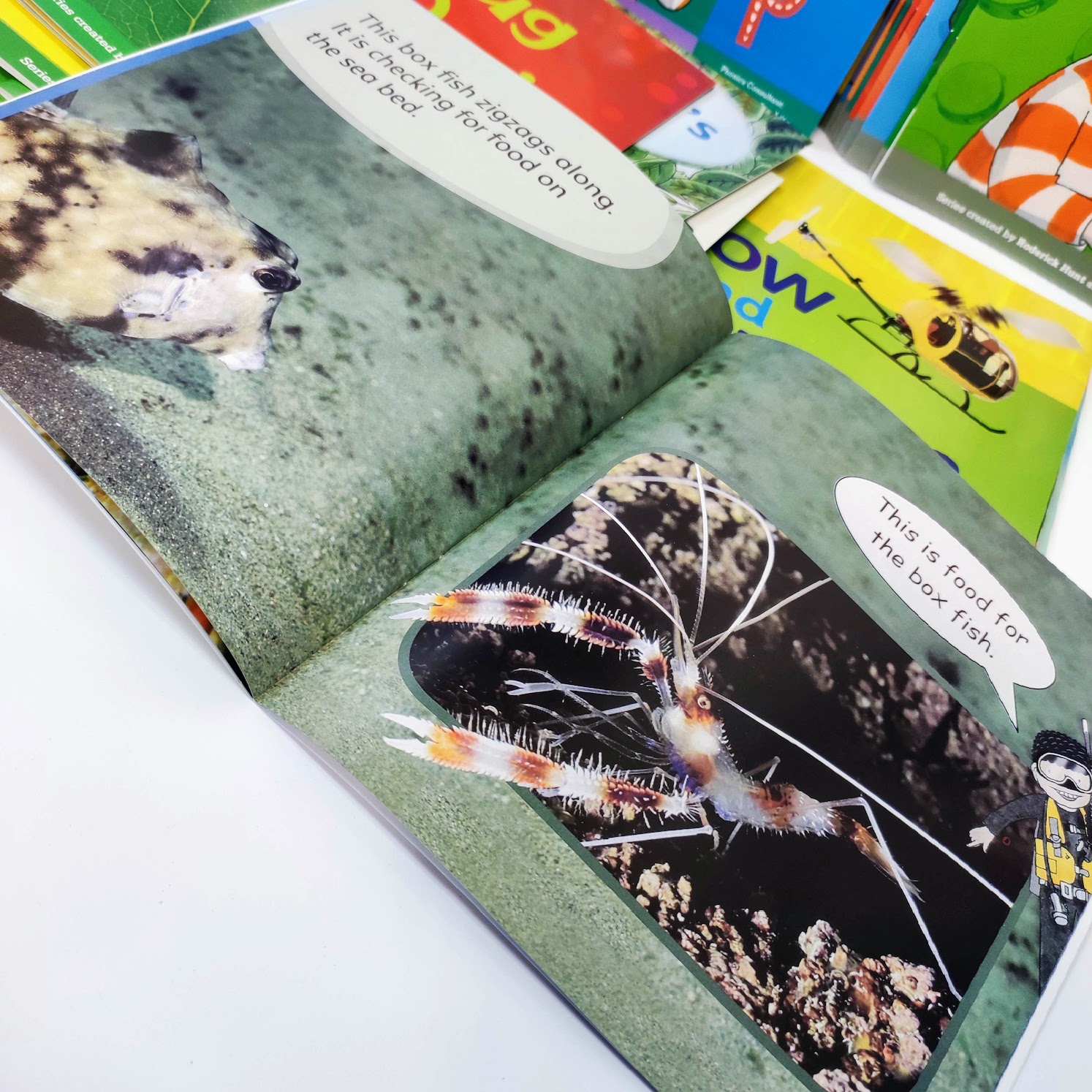 Oxford reading tree phonics (48 books)  | Floppy’s Phonics Level 1 and 2 | C59