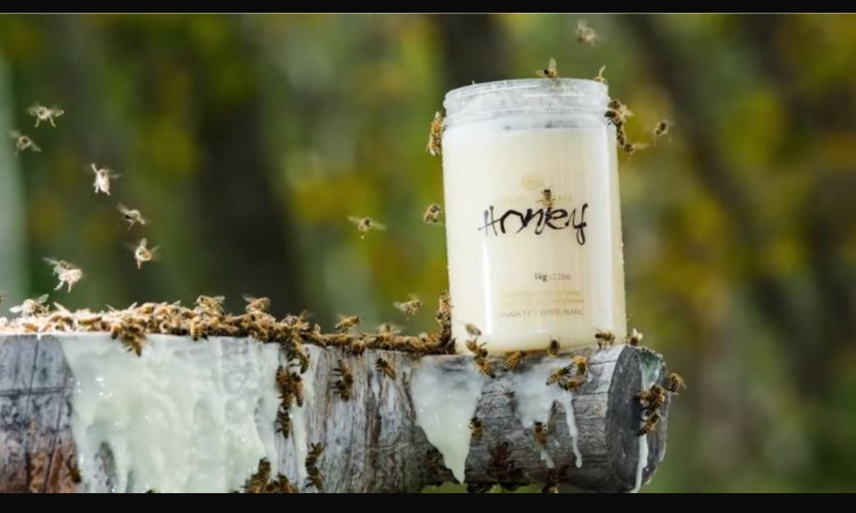 加拿大直送  Wendell Estate Canada’s No1 White Creamed Honey 1 kg