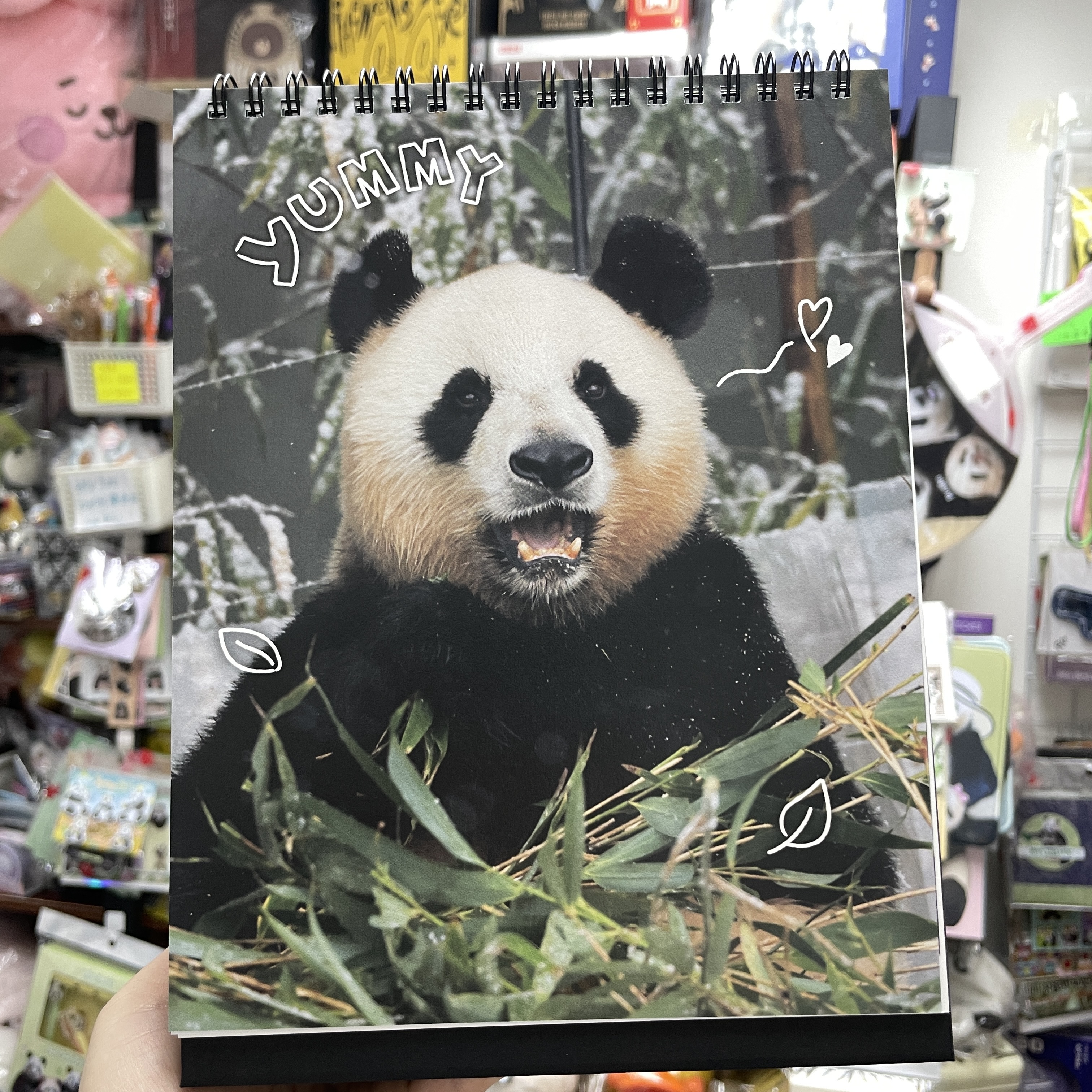 🈶現貨 韓國代購 愛寶樂園 Everland Bao Family 寶家族 2026年 座枱月曆