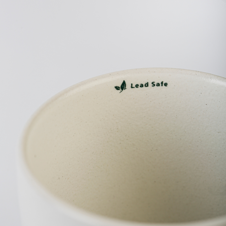 Fusion TMF70 Mug 360ml