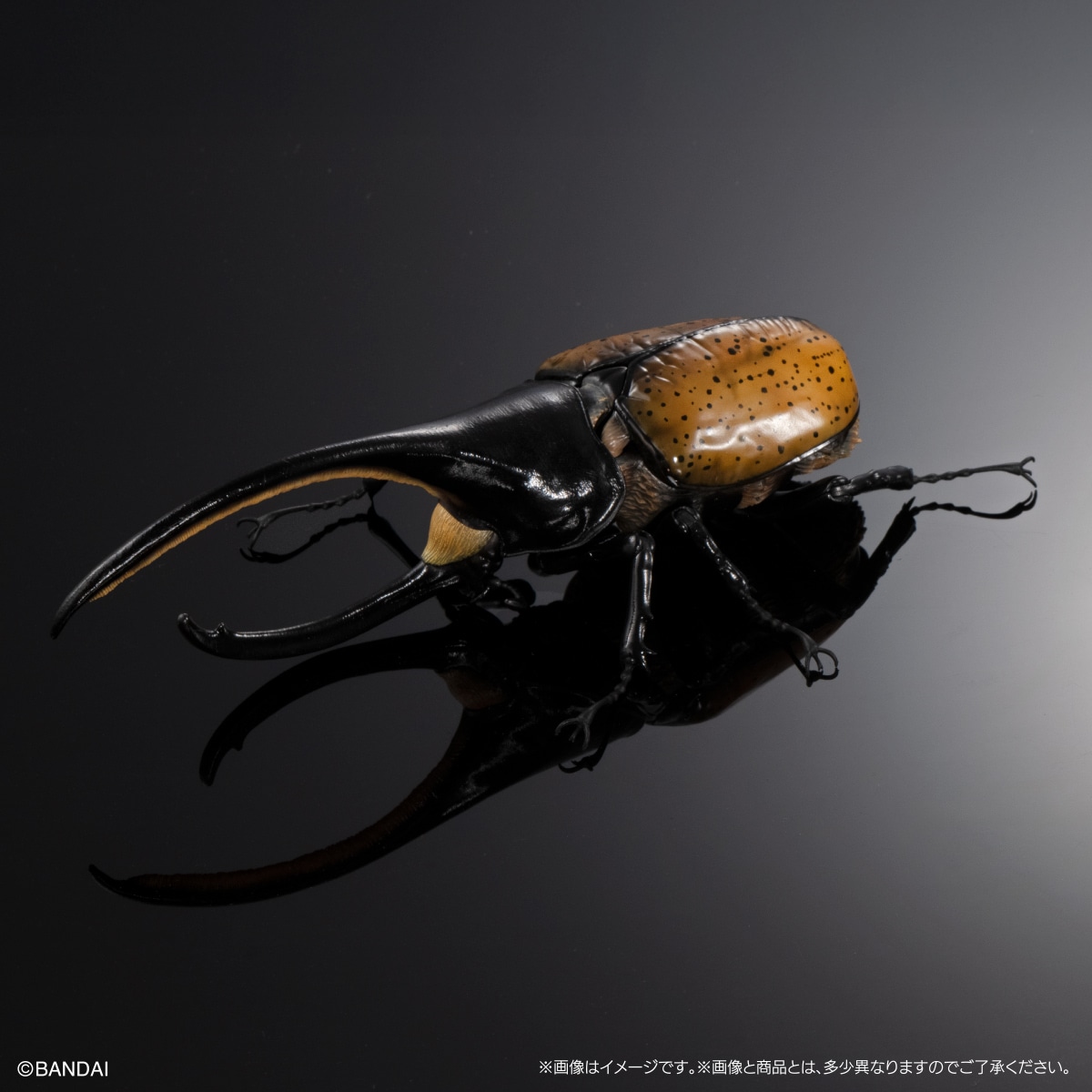 [GOL]THE DIVERSITY OF LIFE ON EARTH ADVANCE BEETLE 04 DISPLAY STAND & BARK PEDESTAL (MEDIUM) SET