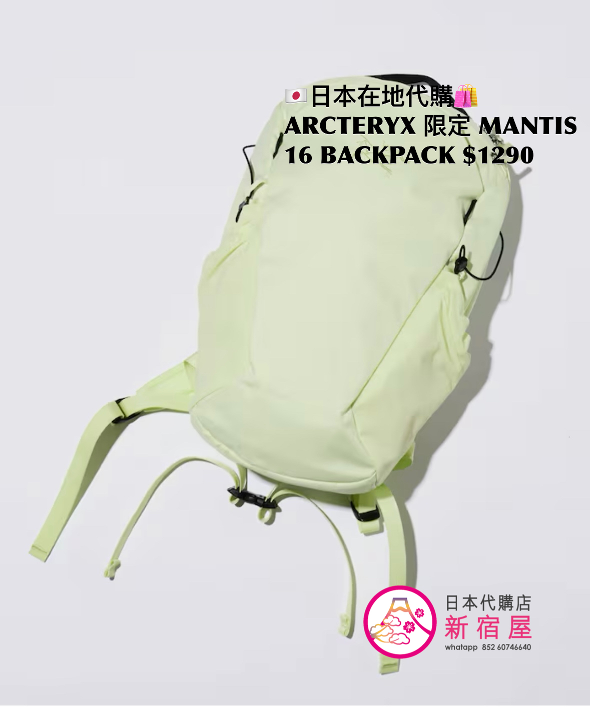ARCTERYX 限定 MANTIS 16 BACKPACK