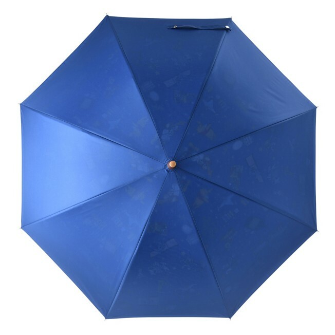 [現貨] [JDS] DISNEYSTORE 30週年｜晴雨兼用長遮 {TF2208136}