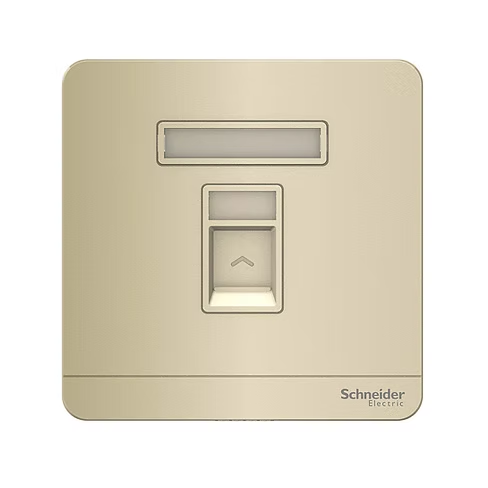 施耐德 AvatarOn 沉醉金 單位 CAT5E數據插座