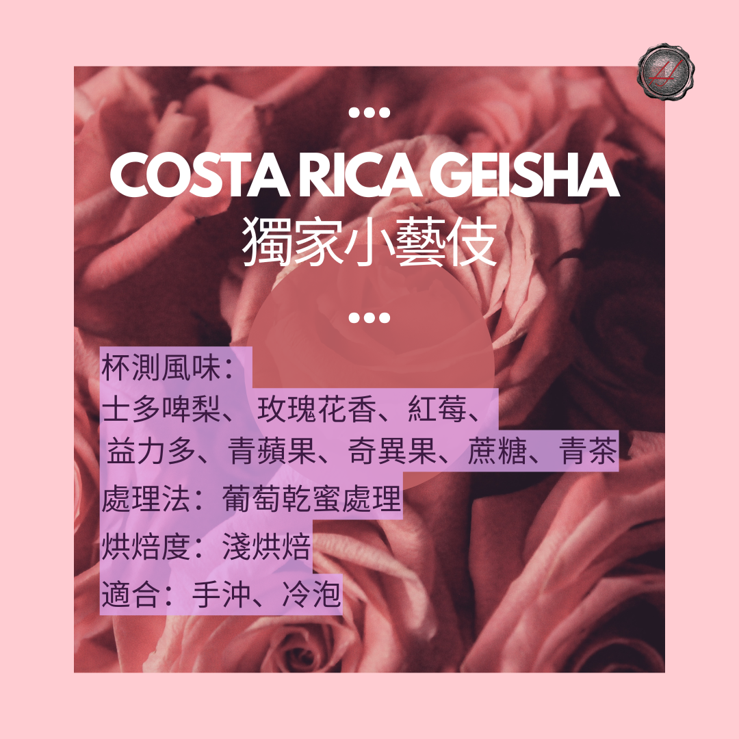 獨家小藝伎 Costa Rica Geisha