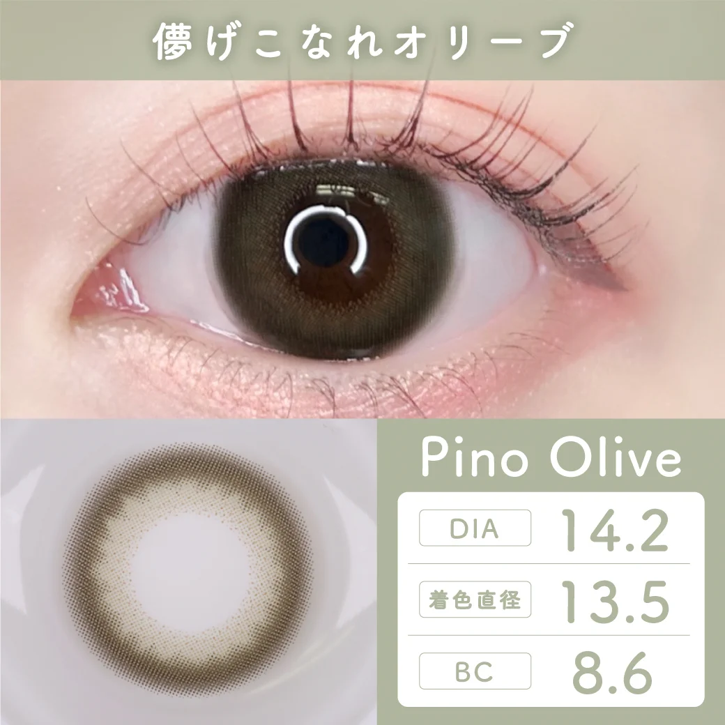 TeAmo - Cheria Pino Olive (1day/10P)
