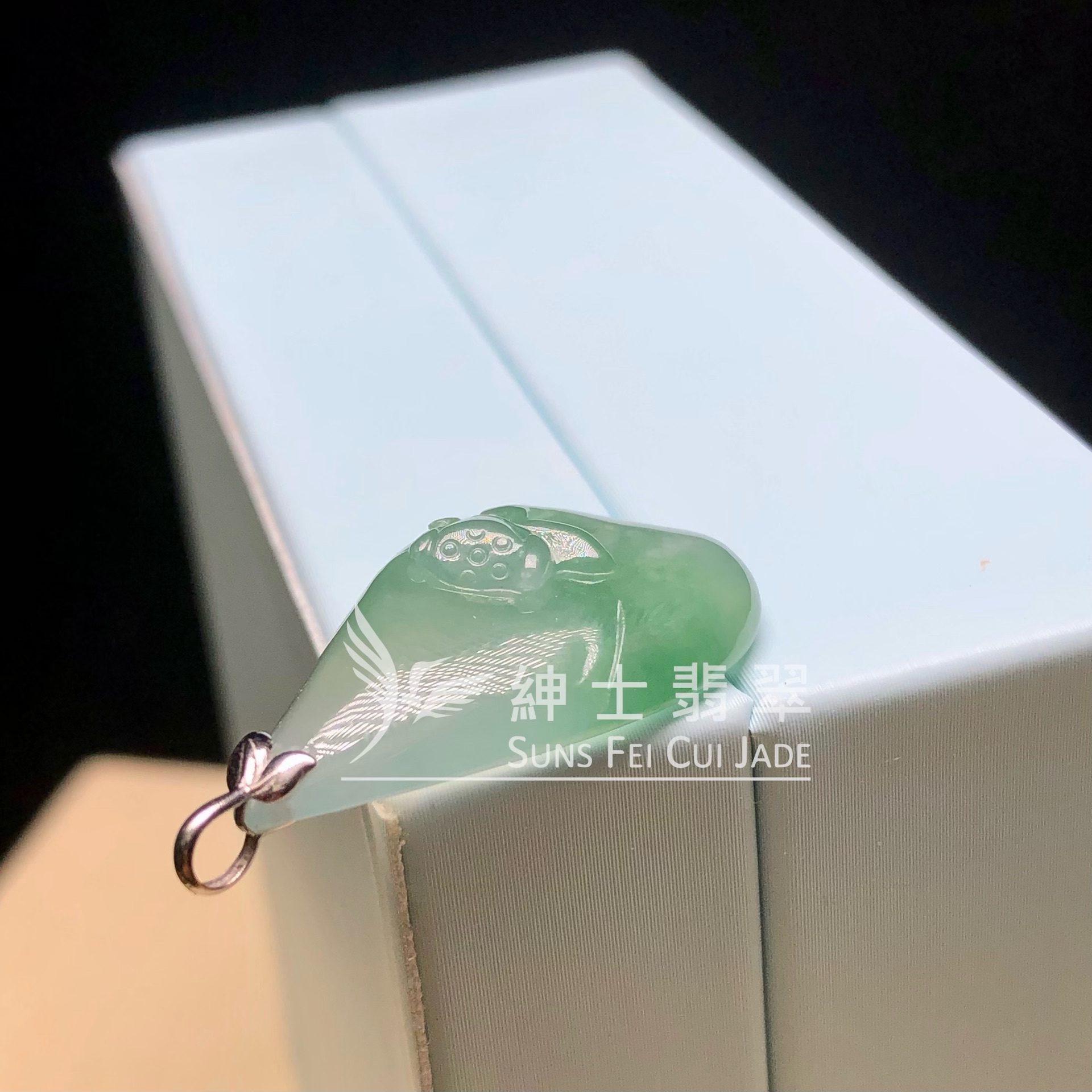 YK01056 老油青玉蓮
