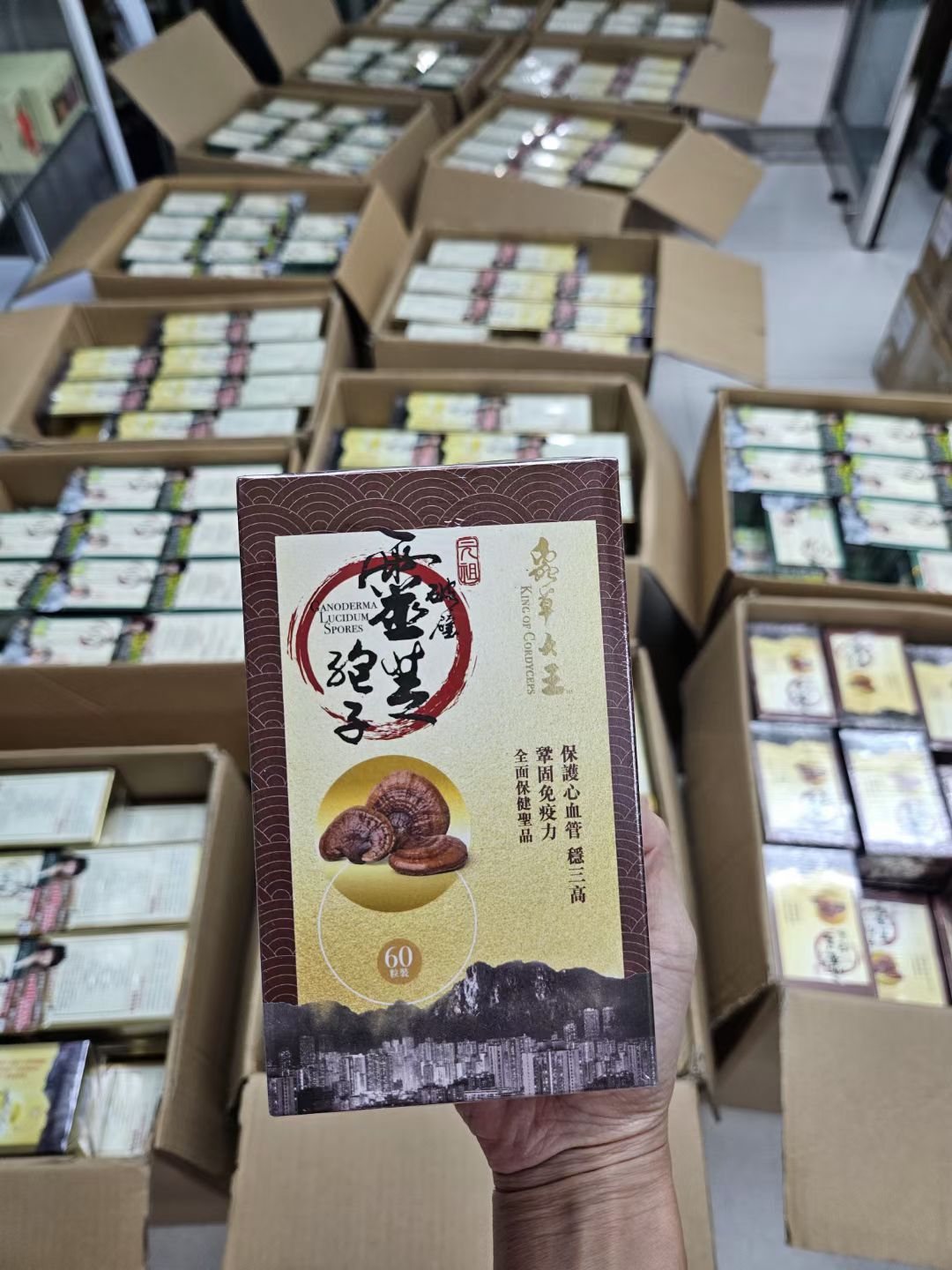 蟲草大王蟲草CS4 /蟲草C19 /靈芝孢子