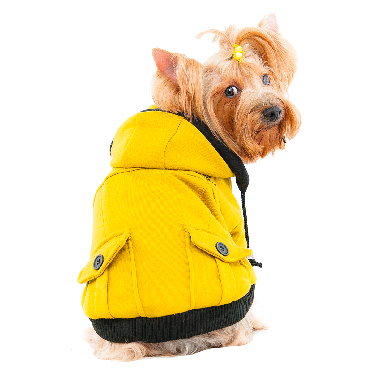 S561GN DDC 衛衣外套-青綠黃 Dana Jacket-green