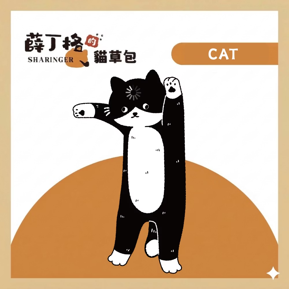 薛丁格的貓草包 | CAT