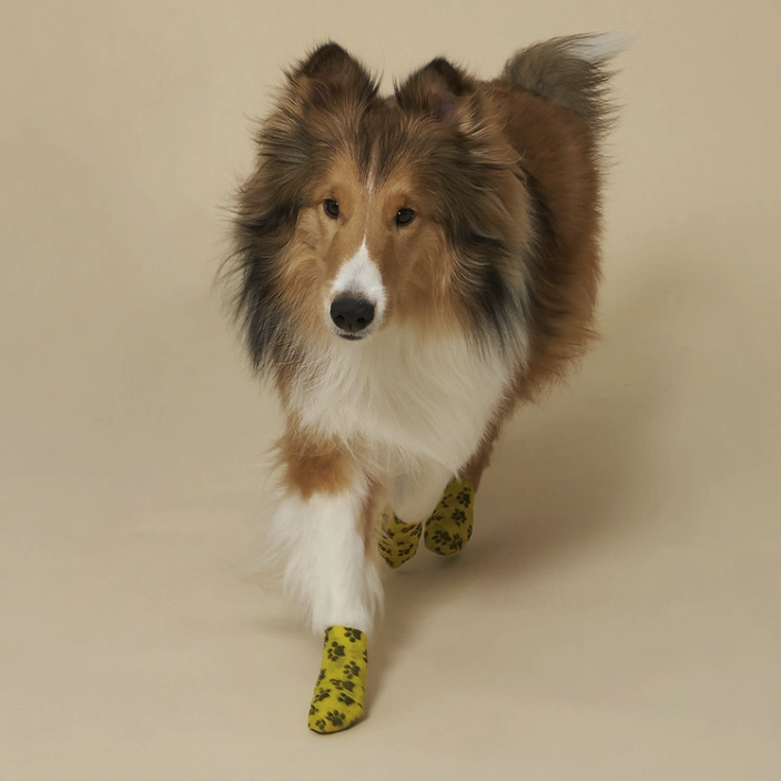 *SuperPet🇰🇷狗狗戶外散步自粘繃帶鞋(10卷裝) DG091