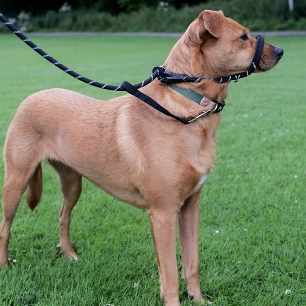 一體式狗嘴套牽引繩 200*1.0CM 黑色 UB0272