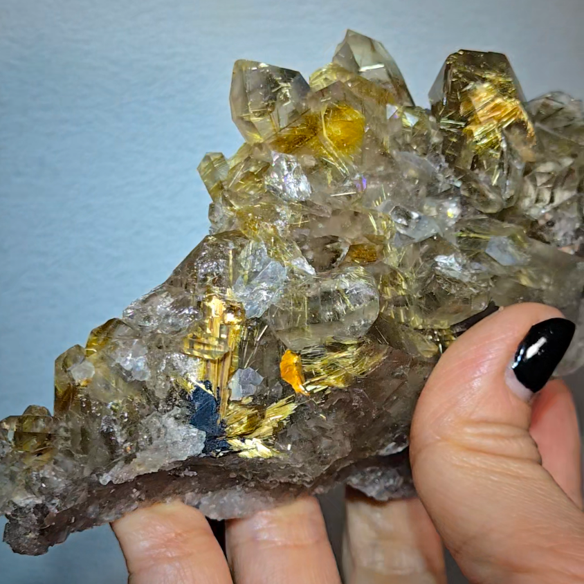 High-grade golden starburst rutiles on black hematite in quartz - RT1434