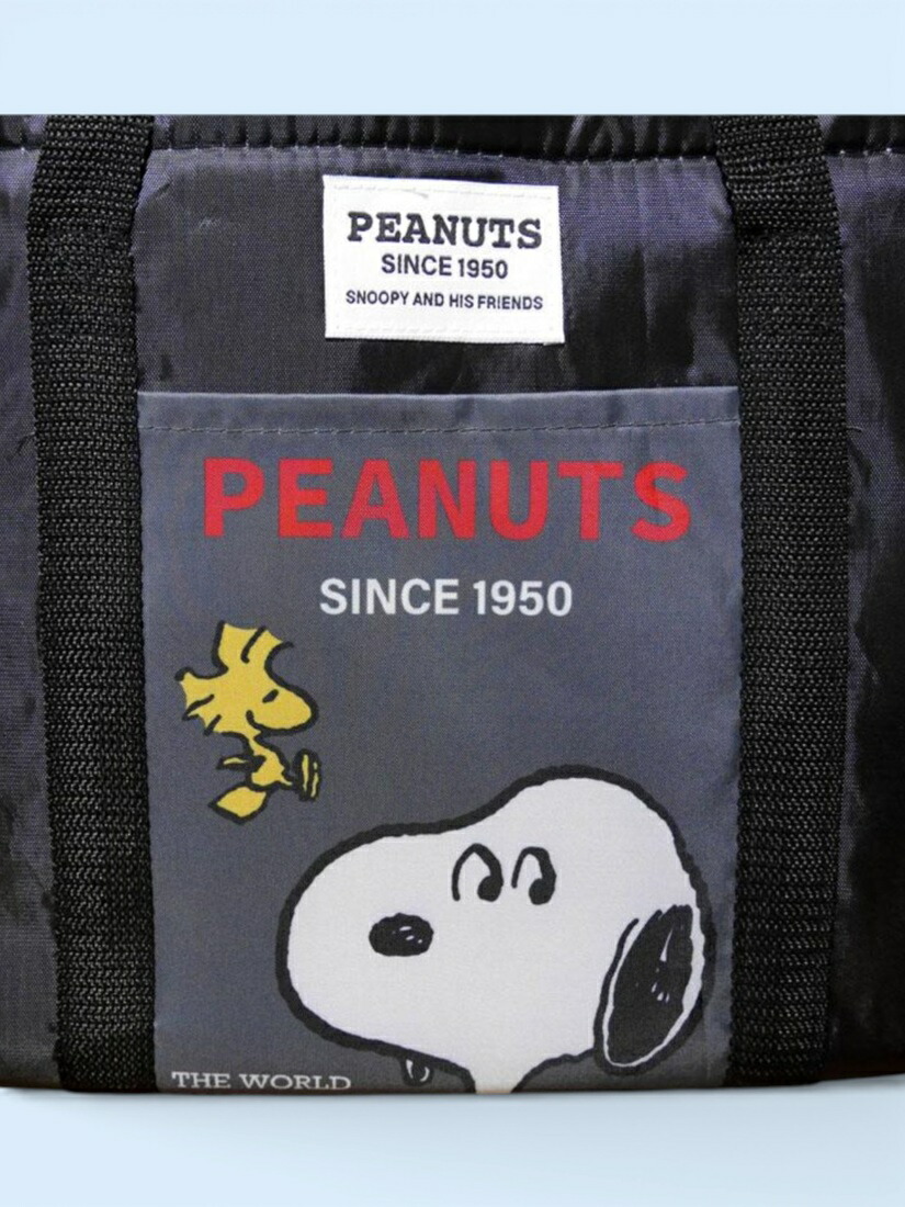 🆕【⭐訂購⭐】🇯🇵日本直送 🌀#Snoopy 保冷保溫購物籃（附底板）［3款選］🌀[ELCD-0178][260430]