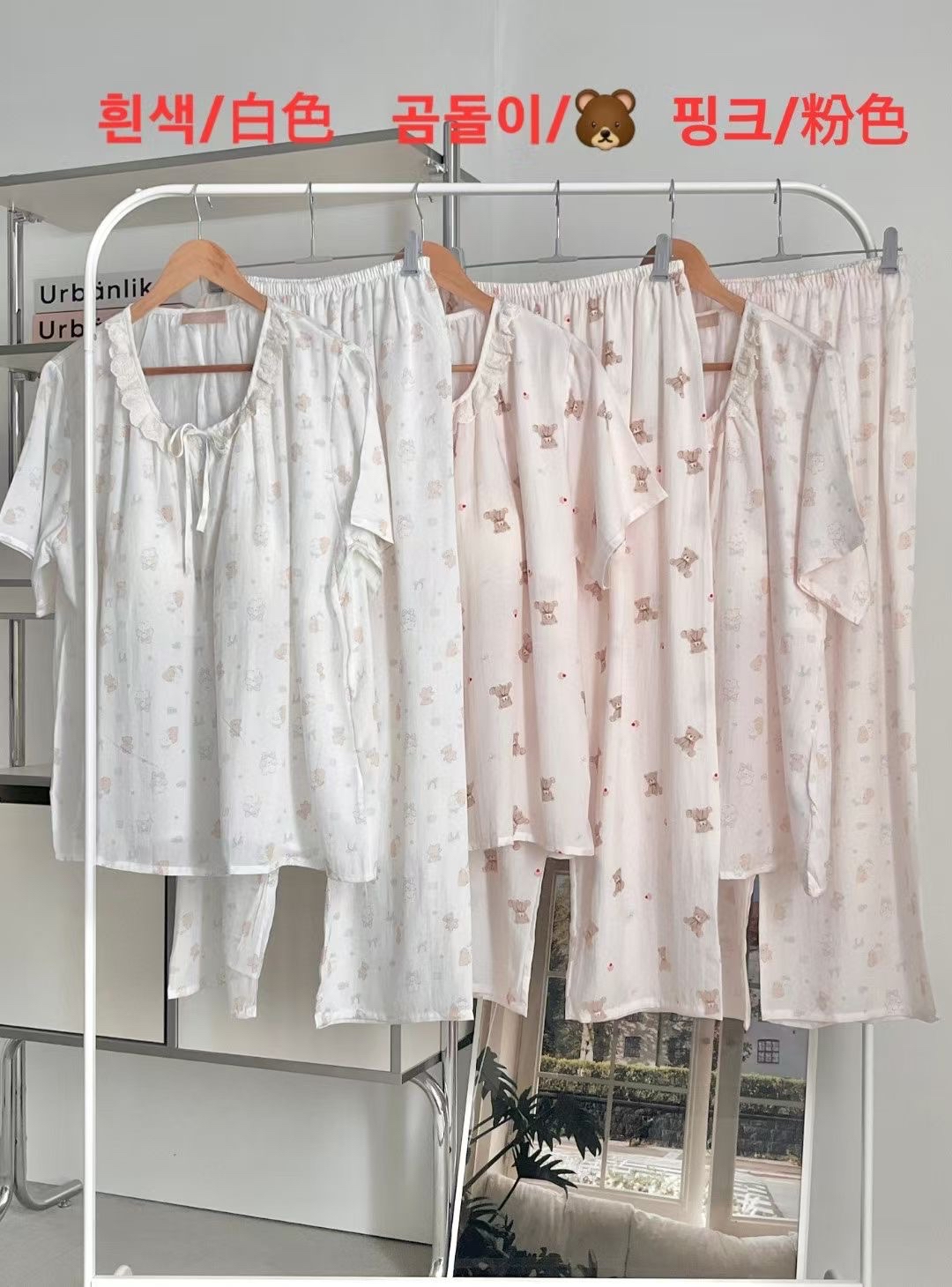 ☀️初夏連線 LIVE 4 | Bear Family 