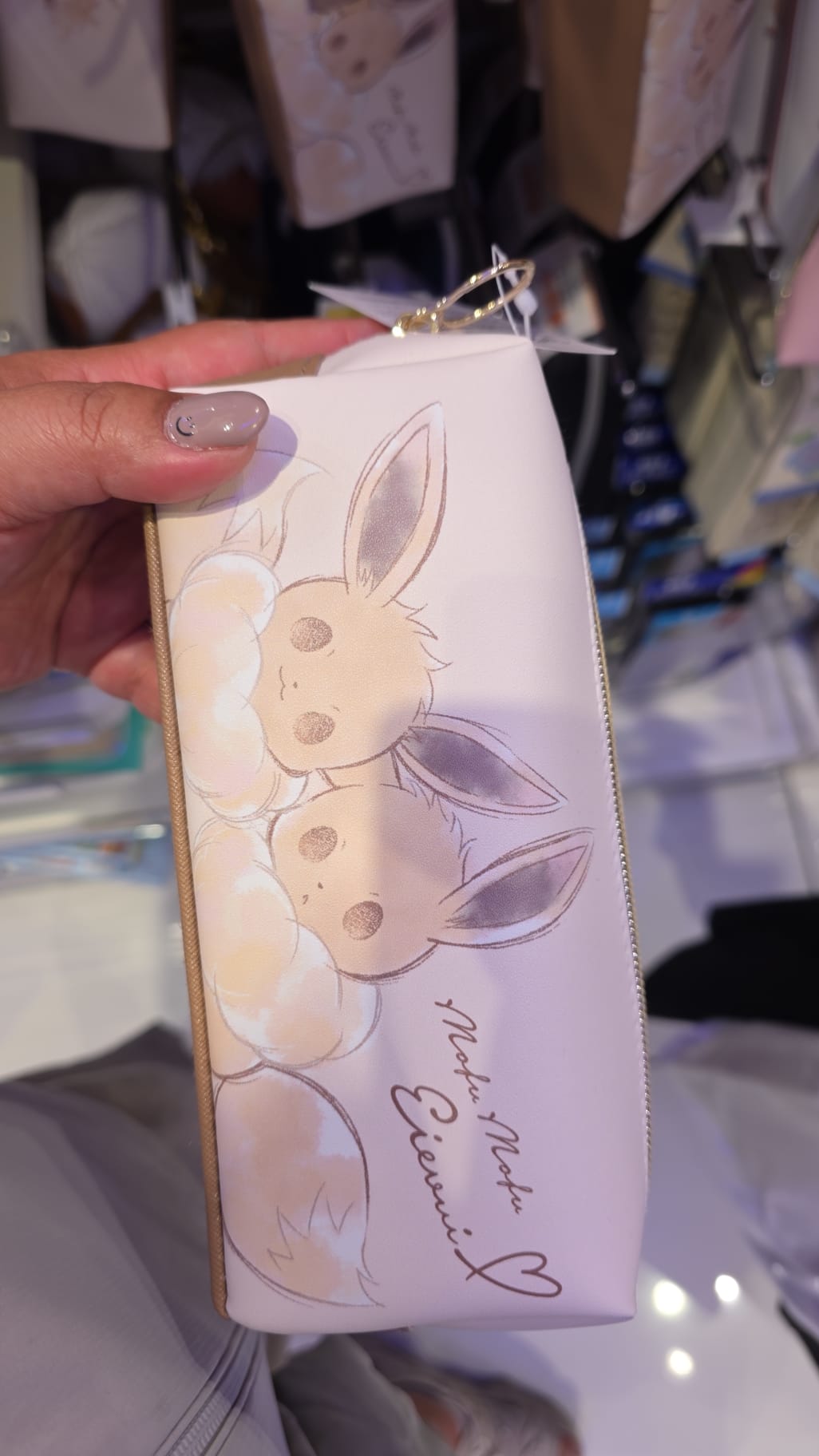 Pokémon 伊貝筆袋