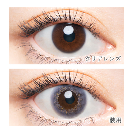 AngelColor Bambi Series - Vintage Lavender (1day/10P)