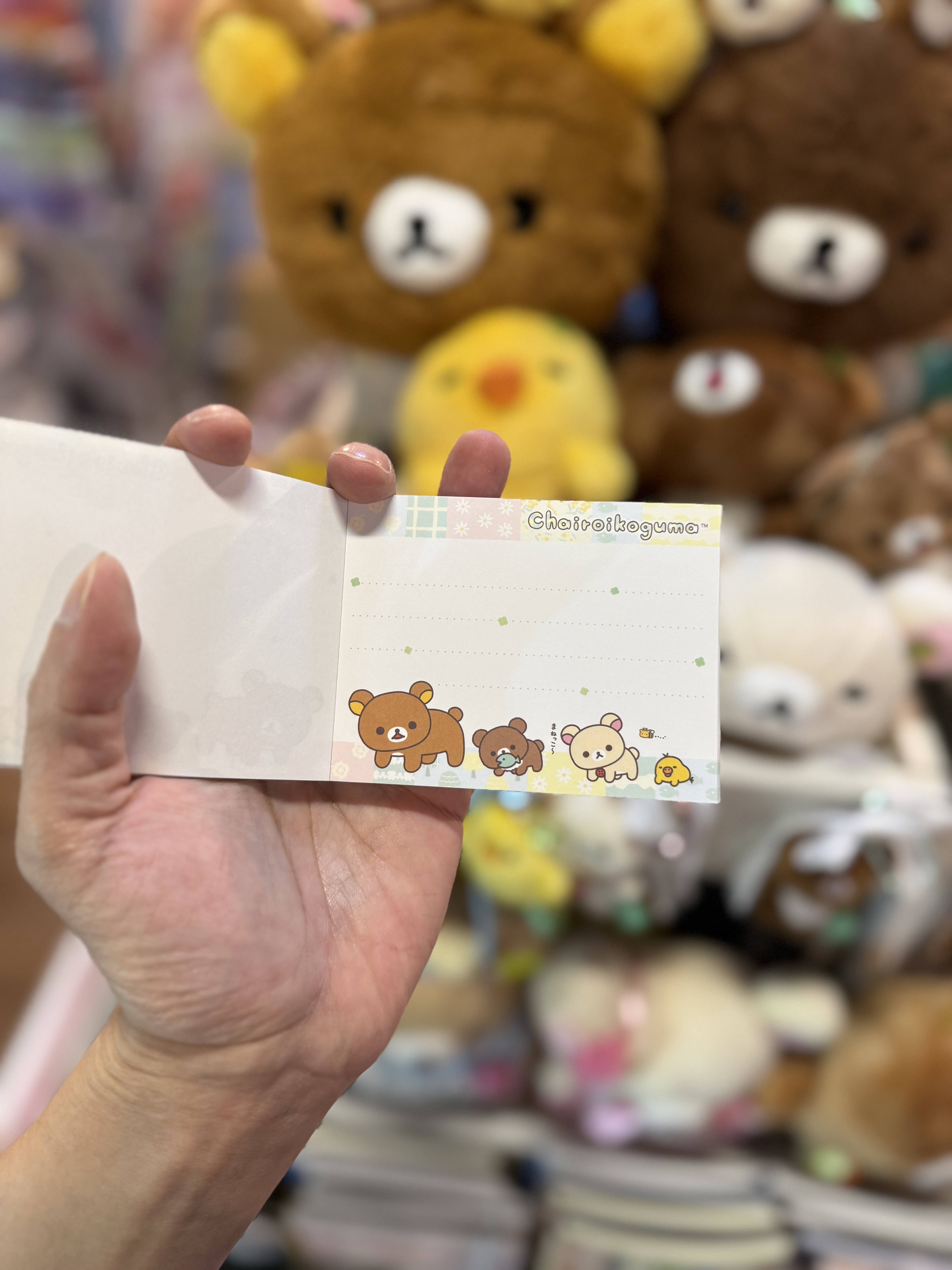 《現貨》全新小熊10週年紀念四葉草系列細memo