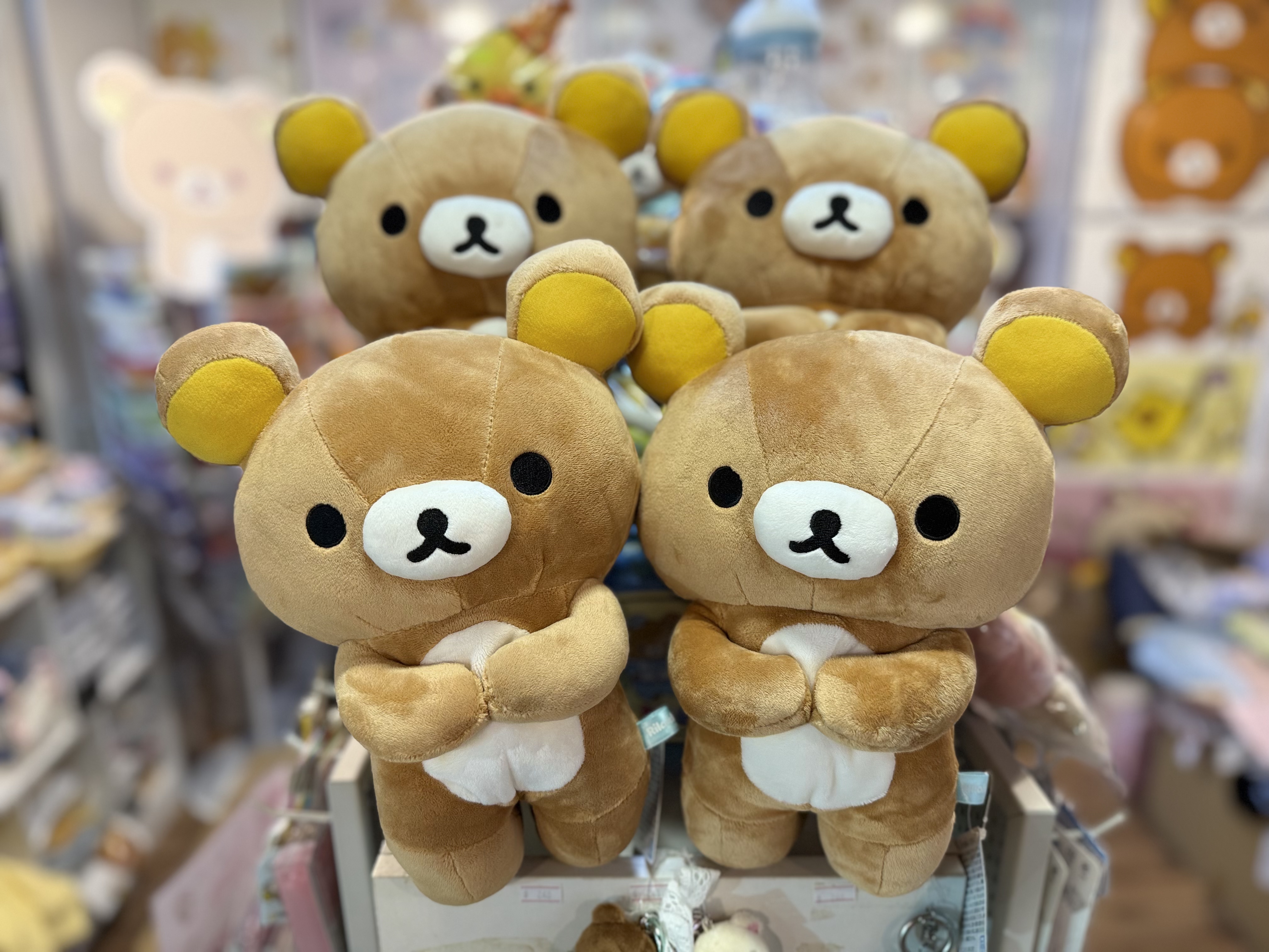 《現貨》全新Rilakkuma瓦瓦貓系列跪地公仔