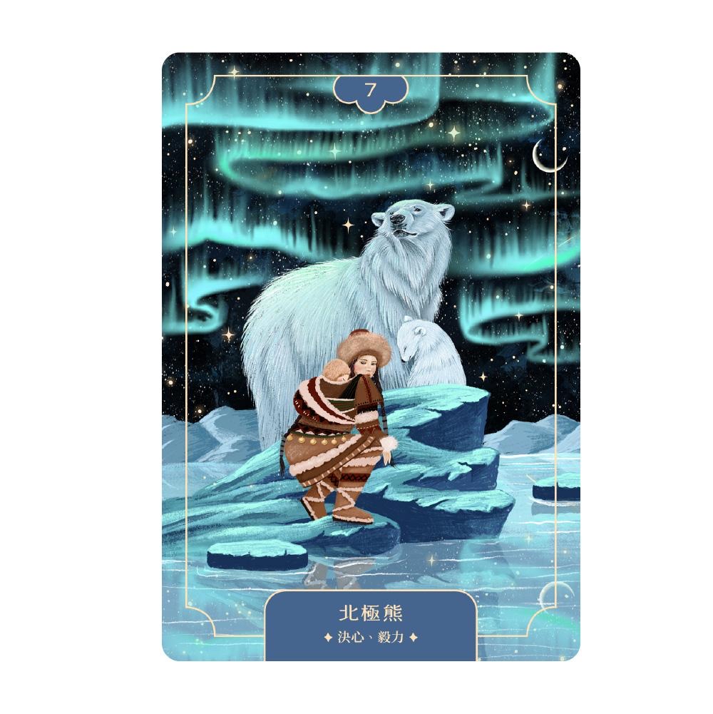 動物力量療癒卡