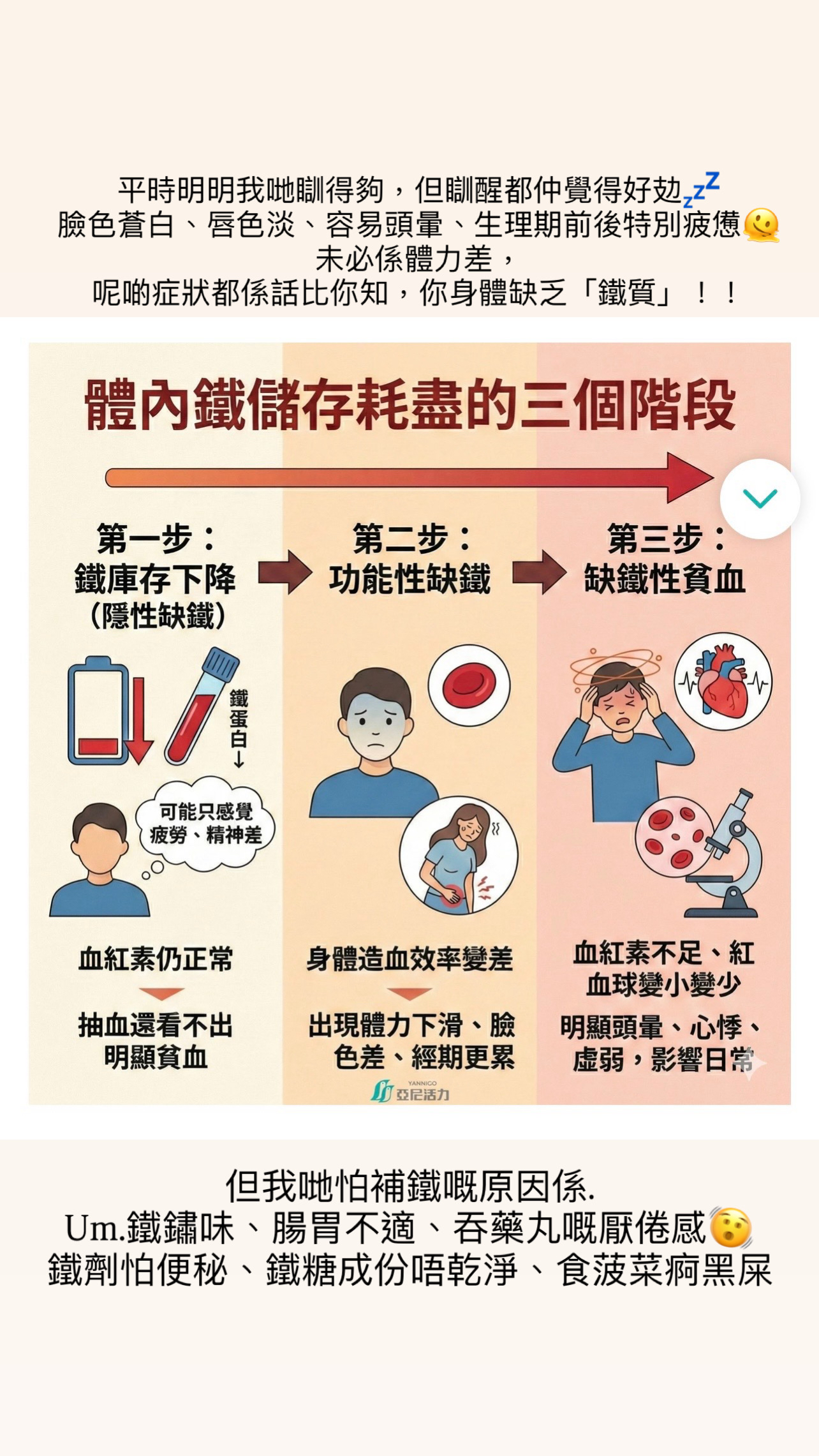 補鐵❤️‍🔥72%比利時頂級黑朱古力🍫